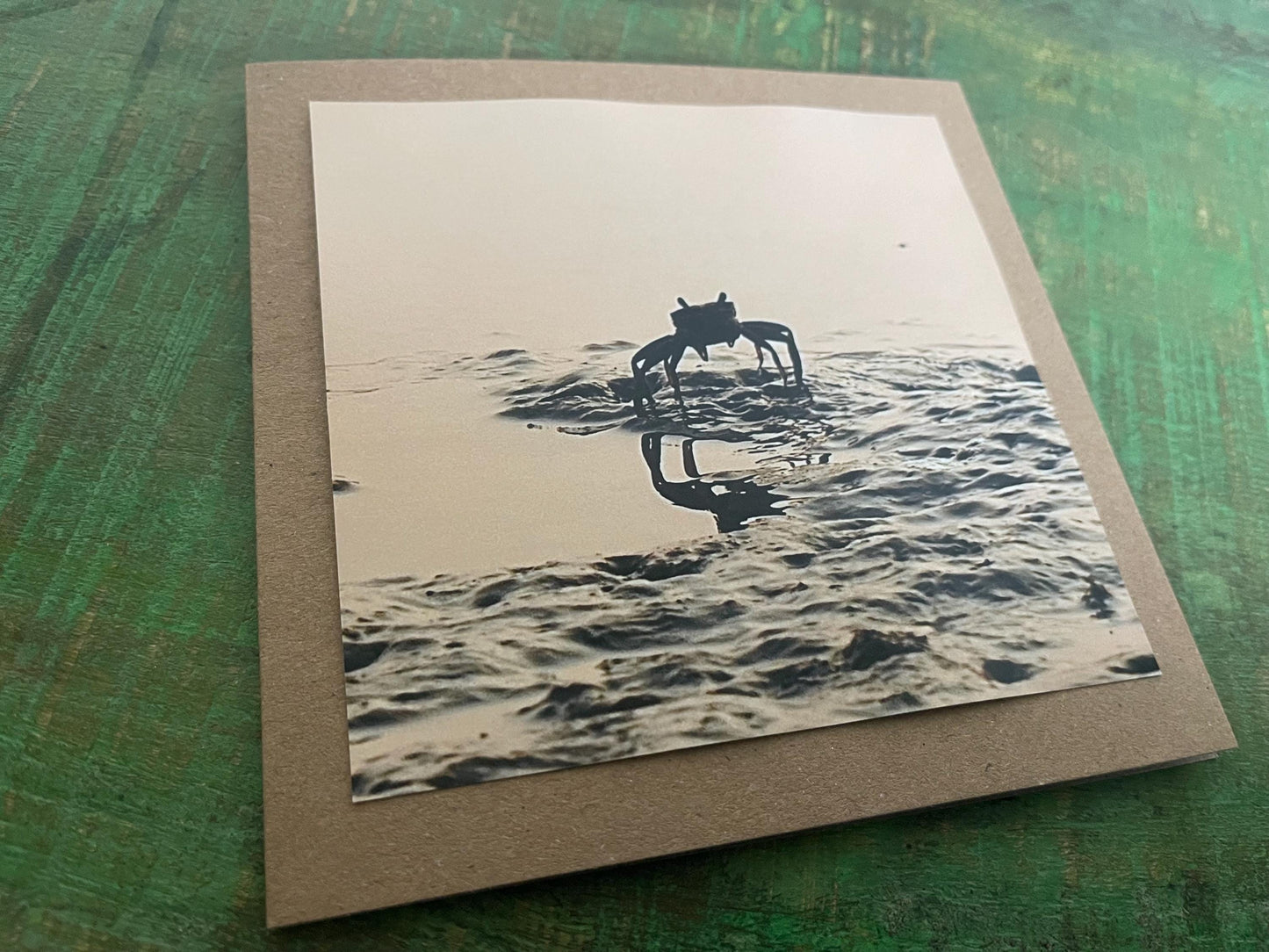 Crab in Sunset photo card. Handmade card, recycled card, beach card, birthday card, eco friendly cards, eco card, recycled card. Crabs