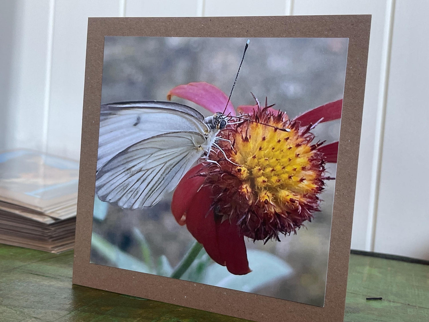 White butterfly card, recycled card, birthday card, wildlife card. Eco friendly card. Handmade card. Unusual card, Thank you card, eco card