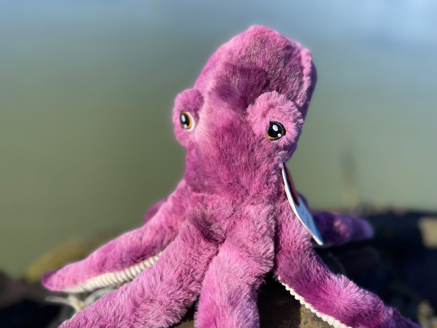 Eco Friendly Octopus Toy - Made With Waste Ocean Plastics