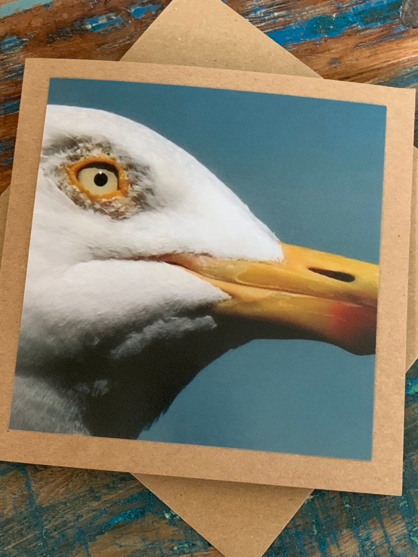 A seagull came to tea! Greetings card, birthday card, birthday, recycled card, thank you card, gift card, bird, Blank card, Handmade card