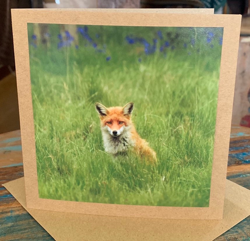 Fox card, recycled card, nature card, birthday card, recycled card. Eco friendly gift card. Handmade card. Blank message card. Eco gift.