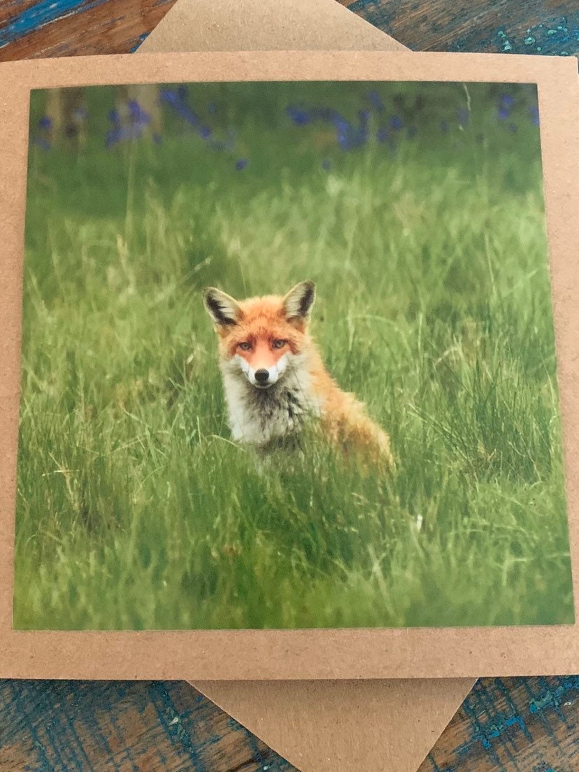 Fox card, recycled card, nature card, birthday card, recycled card. Eco friendly gift card. Handmade card. Blank message card. Eco gift.