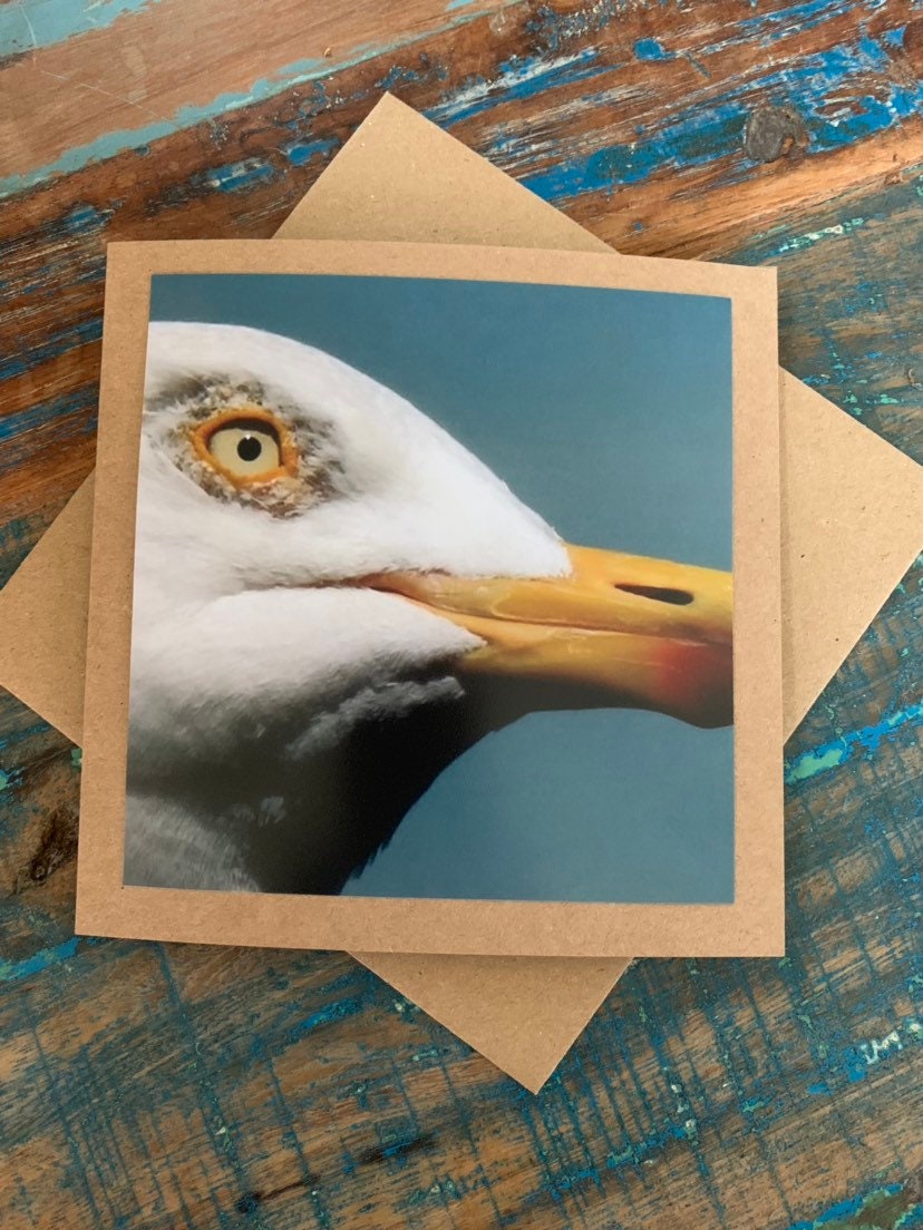 A seagull came to tea! Greetings card, birthday card, birthday, recycled card, thank you card, gift card, bird, Blank card, Handmade card