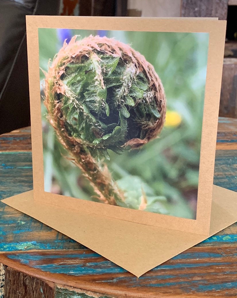 Easter card, Card of hope, fern card, mothers day, new start, Handmade card.  Birthday card, Condolence card, card for gardener, new home