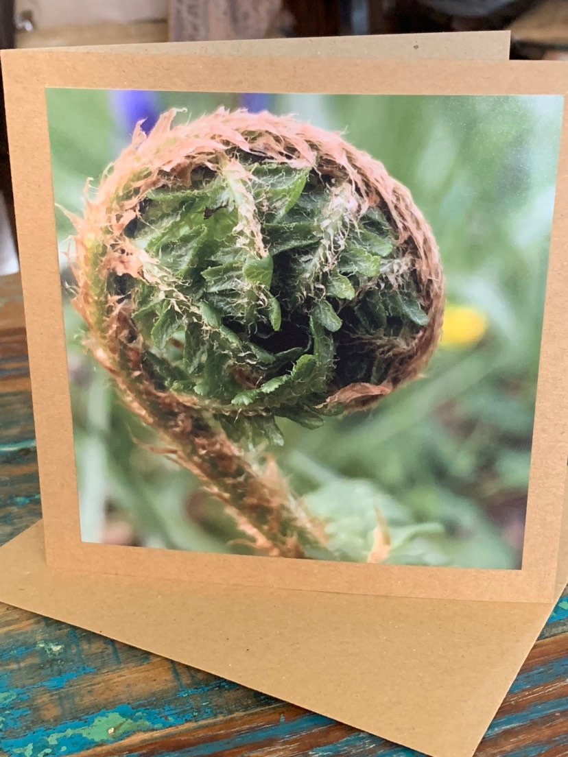 Easter card, Card of hope, fern card, mothers day, new start, Handmade card.  Birthday card, Condolence card, card for gardener, new home