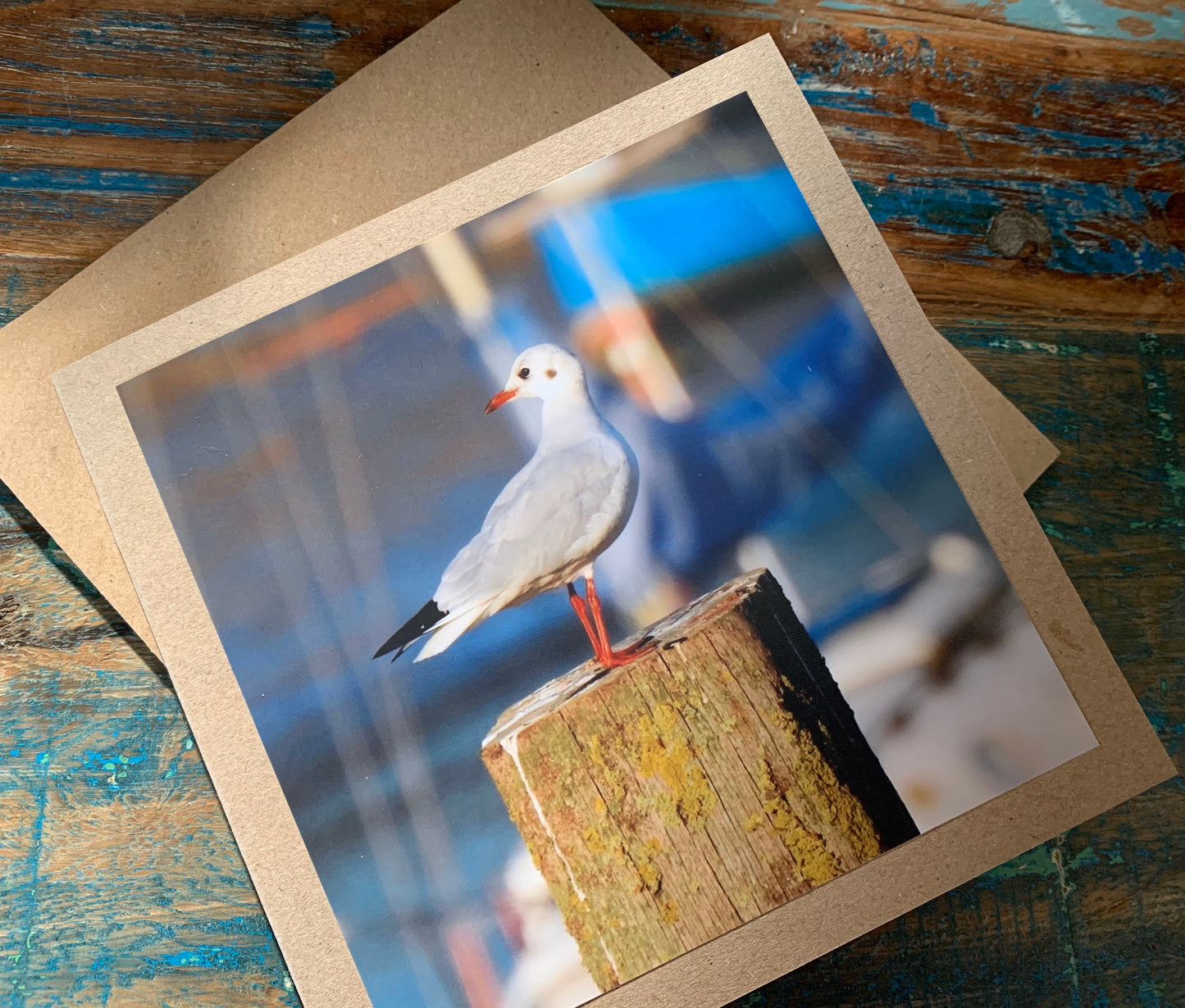 Seagull card, recycled card, birthday card, recycled card. Eco friendly card. Handmade card. Unusual Thank you card, blank gift card, bird