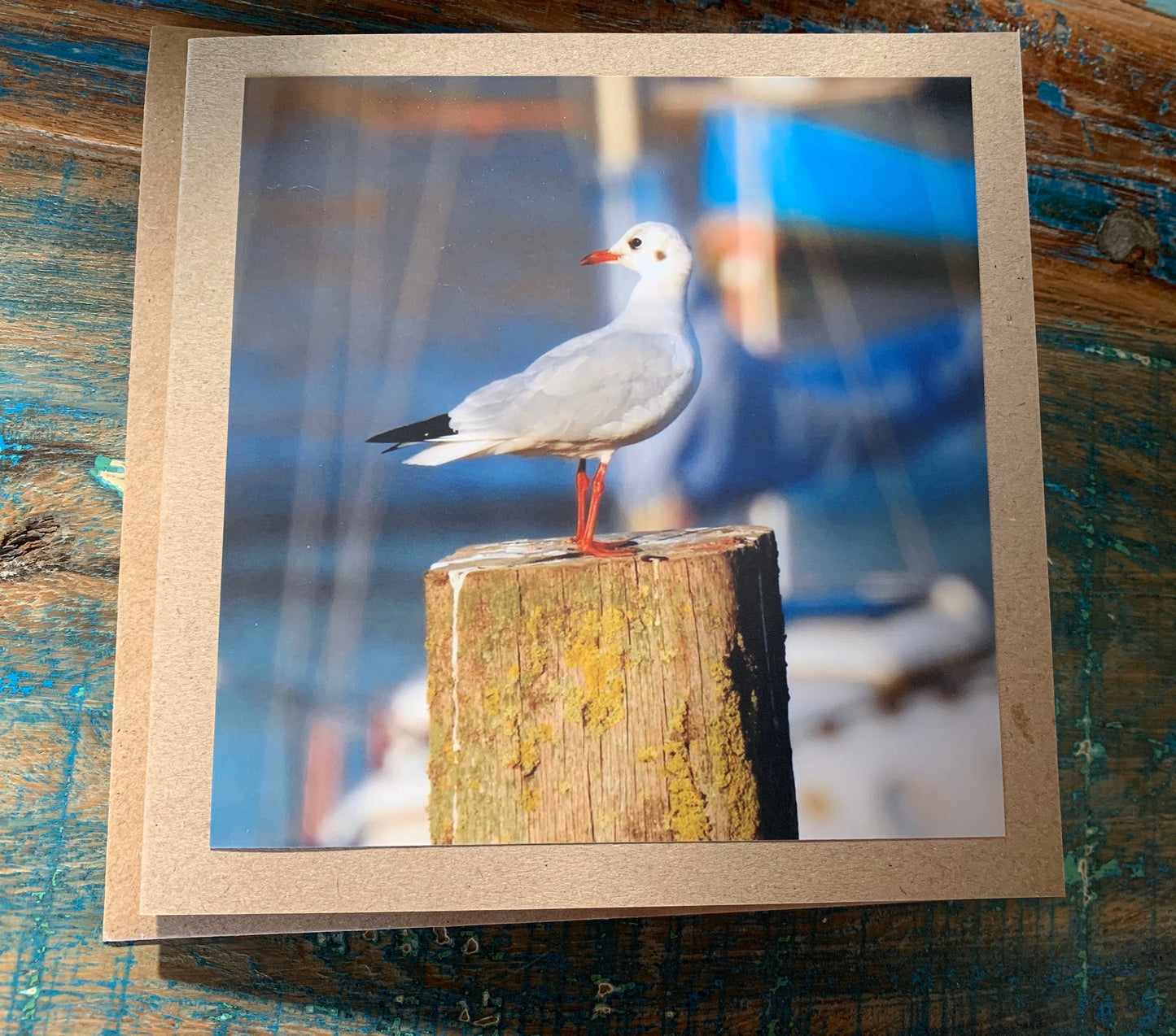 Seagull card, recycled card, birthday card, recycled card. Eco friendly card. Handmade card. Unusual Thank you card, blank gift card, bird