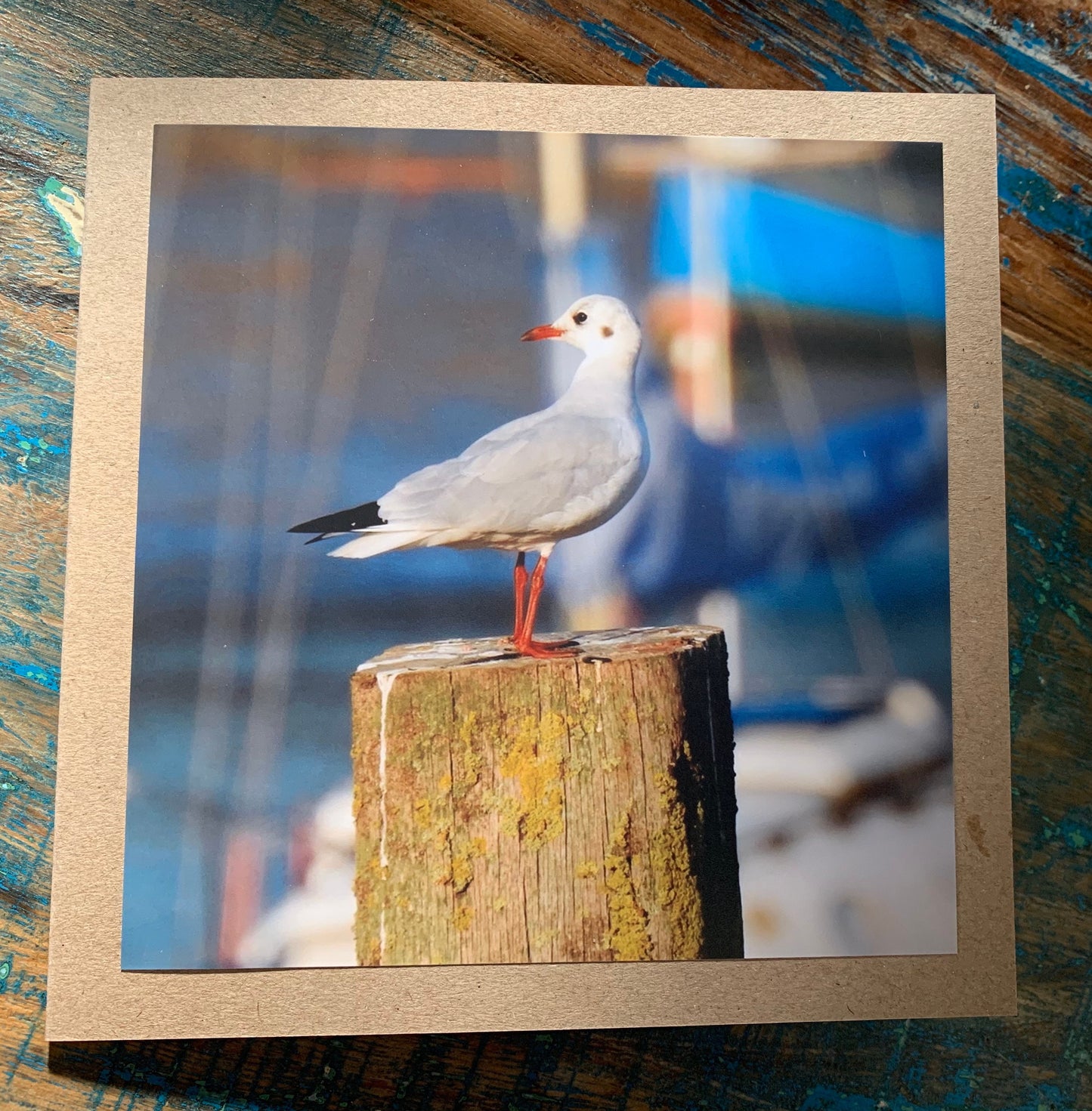 Seagull card, recycled card, birthday card, recycled card. Eco friendly card. Handmade card. Unusual Thank you card, blank gift card, bird