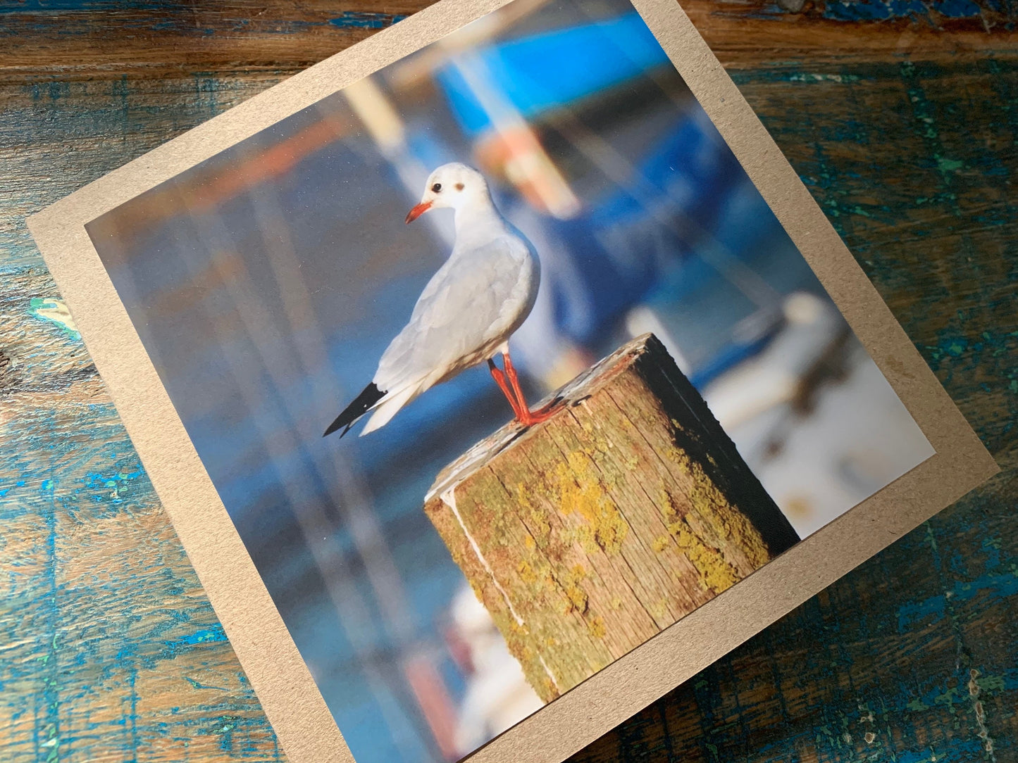 Seagull card, recycled card, birthday card, recycled card. Eco friendly card. Handmade card. Unusual Thank you card, blank gift card, bird