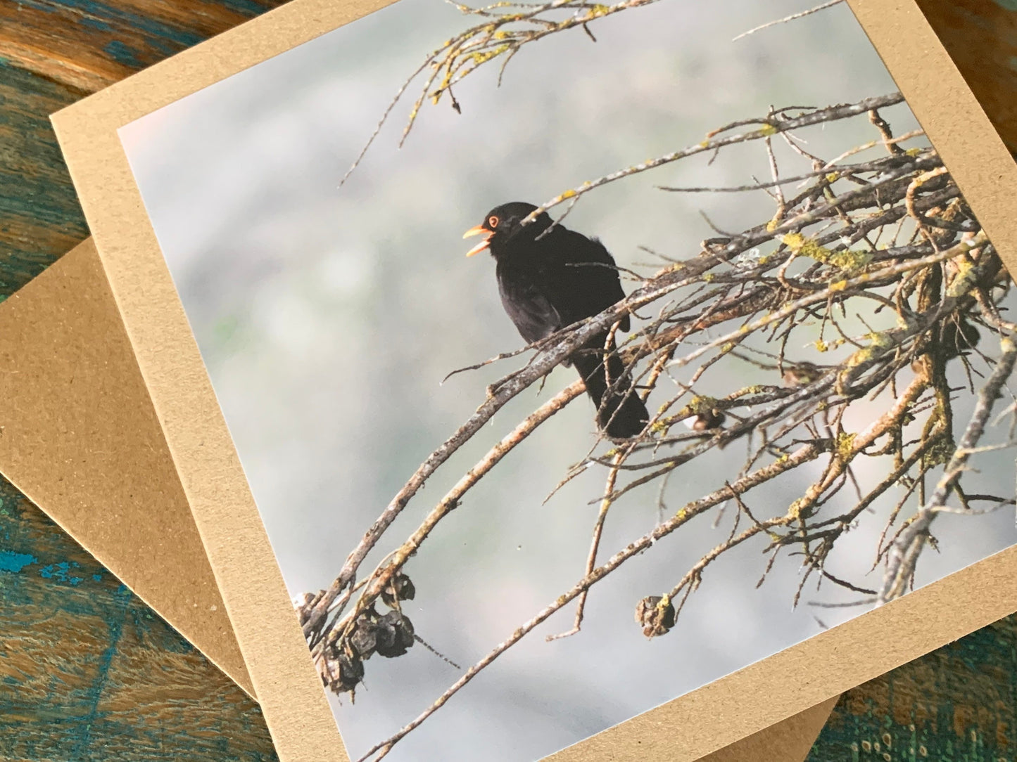 Blackbird card, recycled card, birthday card, English bird card. Eco friendly card. Handmade card. Unusual Thank you card, blank gift card