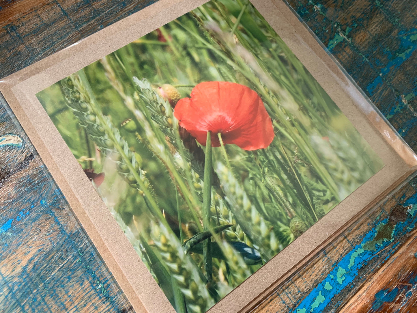 Flower card, recycled card, birthday card, remembrance card, Eco friendly card. Handmade card. Unusual card, blank gift card, poppy card