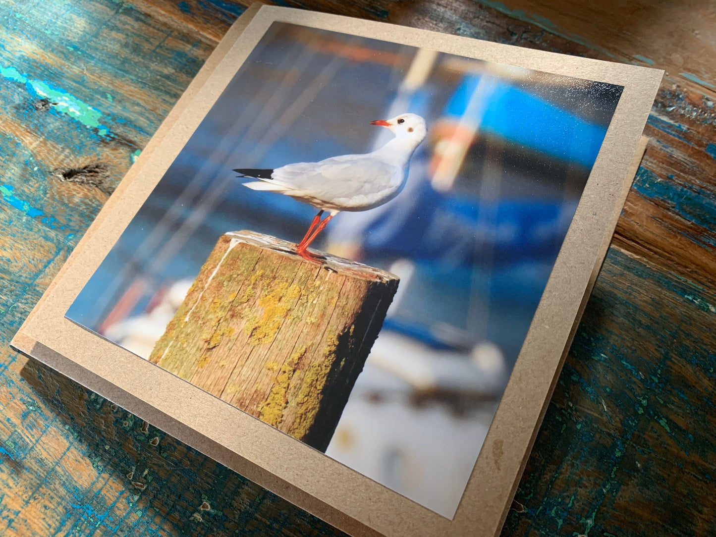 Seagull card, recycled card, birthday card, recycled card. Eco friendly card. Handmade card. Unusual Thank you card, blank gift card, bird