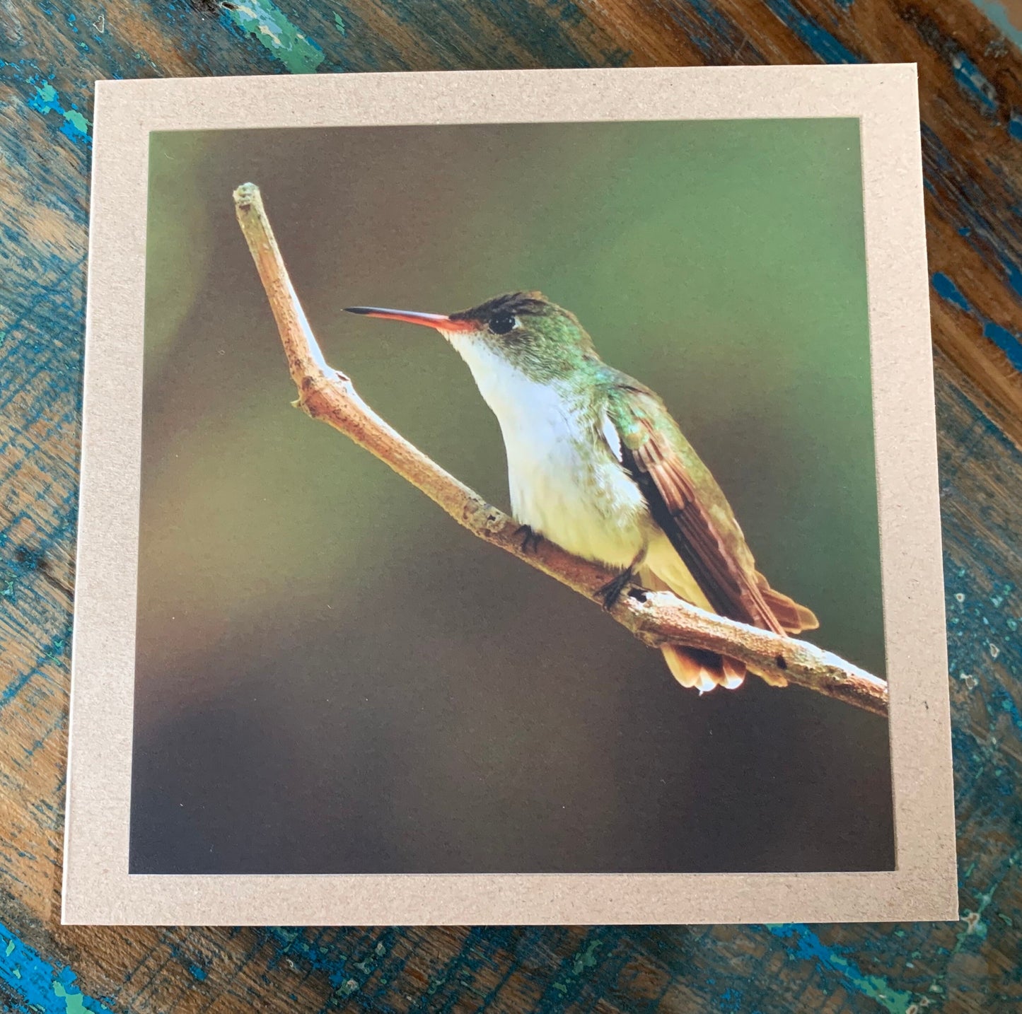 Hummingbird card, recycled card, birthday card, recycled card. Eco friendly card. Handmade card. Unusual Thank you card, blank gift card