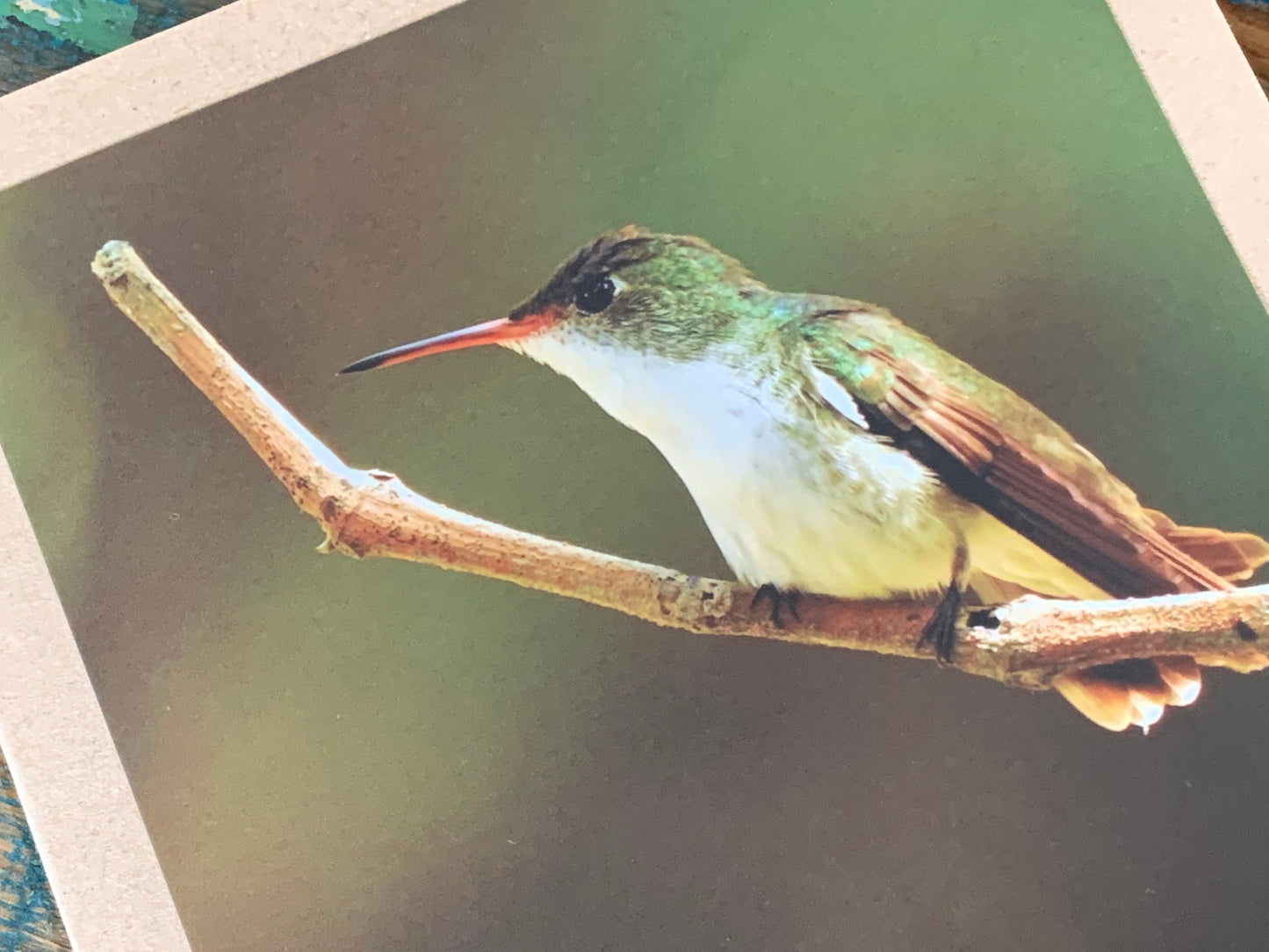 Hummingbird card, recycled card, birthday card, recycled card. Eco friendly card. Handmade card. Unusual Thank you card, blank gift card