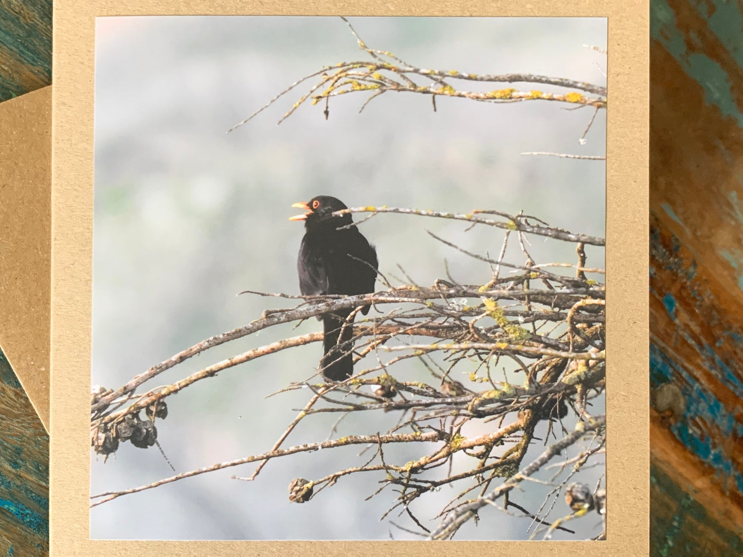 Blackbird card, recycled card, birthday card, English bird card. Eco friendly card. Handmade card. Unusual Thank you card, blank gift card