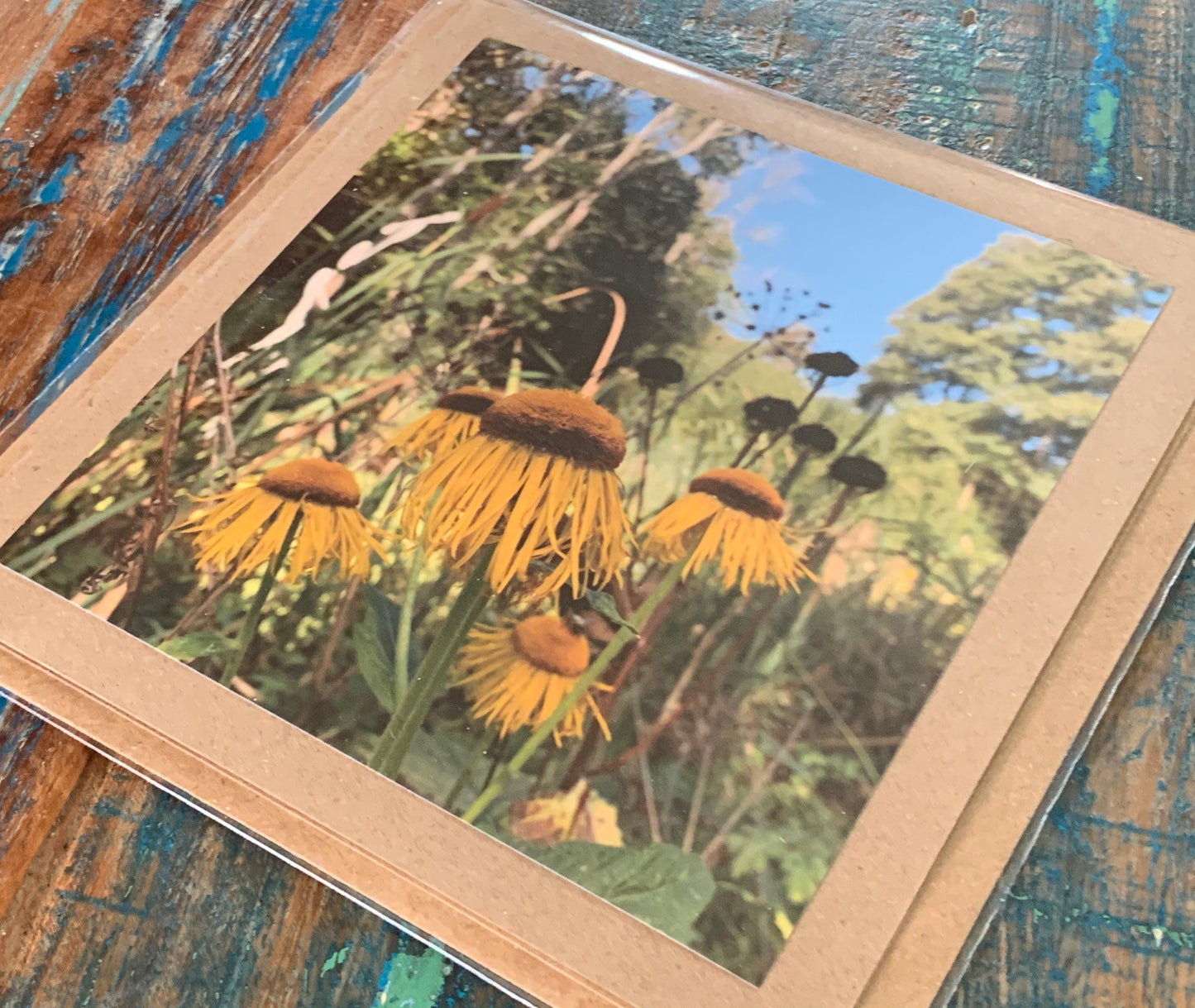 Echinacea Flower card, recycled card. Eco friendly card. Handmade card, blank gift card, Birthday card, photo card, thank you card, nature