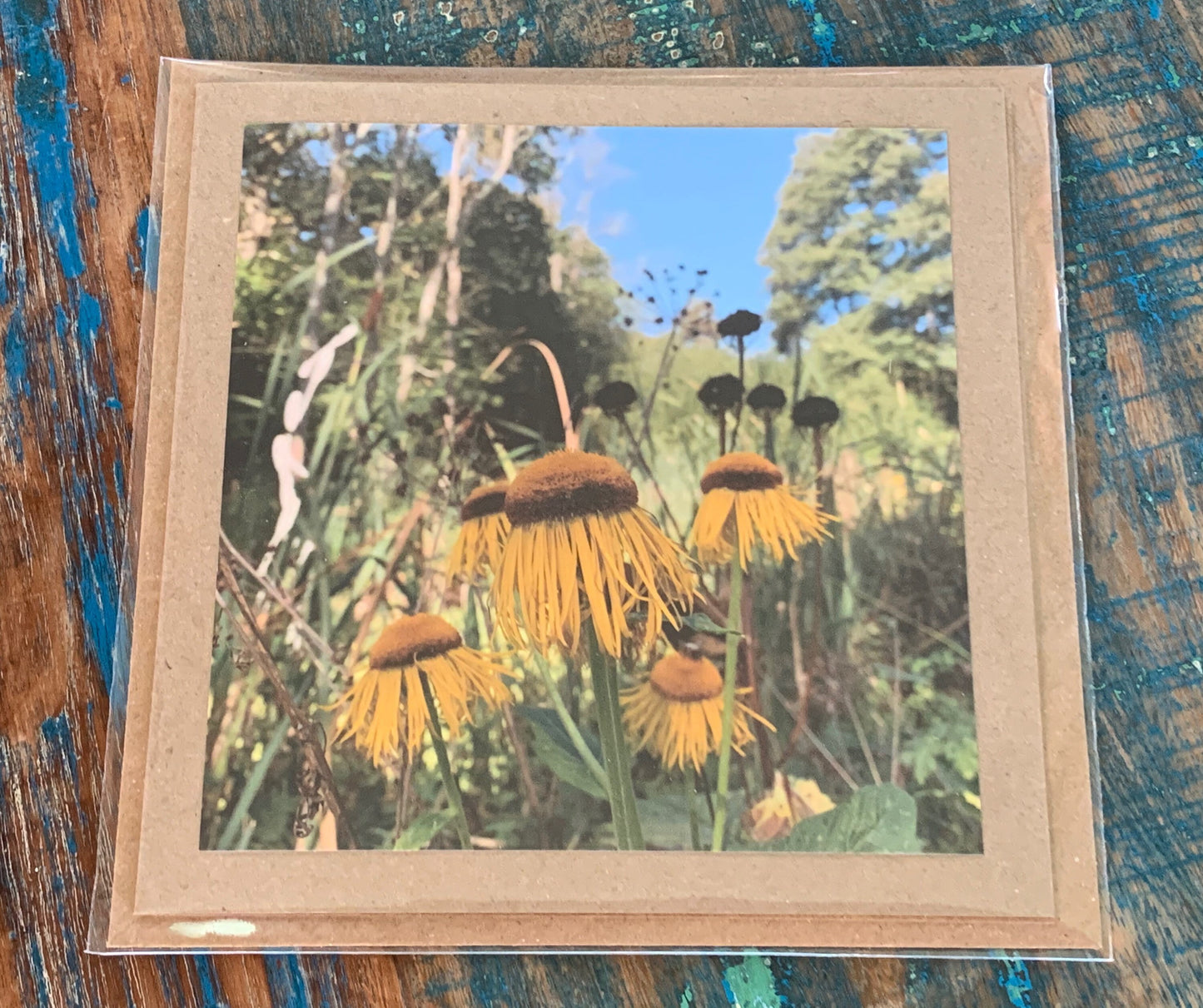 Echinacea Flower card, recycled card. Eco friendly card. Handmade card, blank gift card, Birthday card, photo card, thank you card, nature