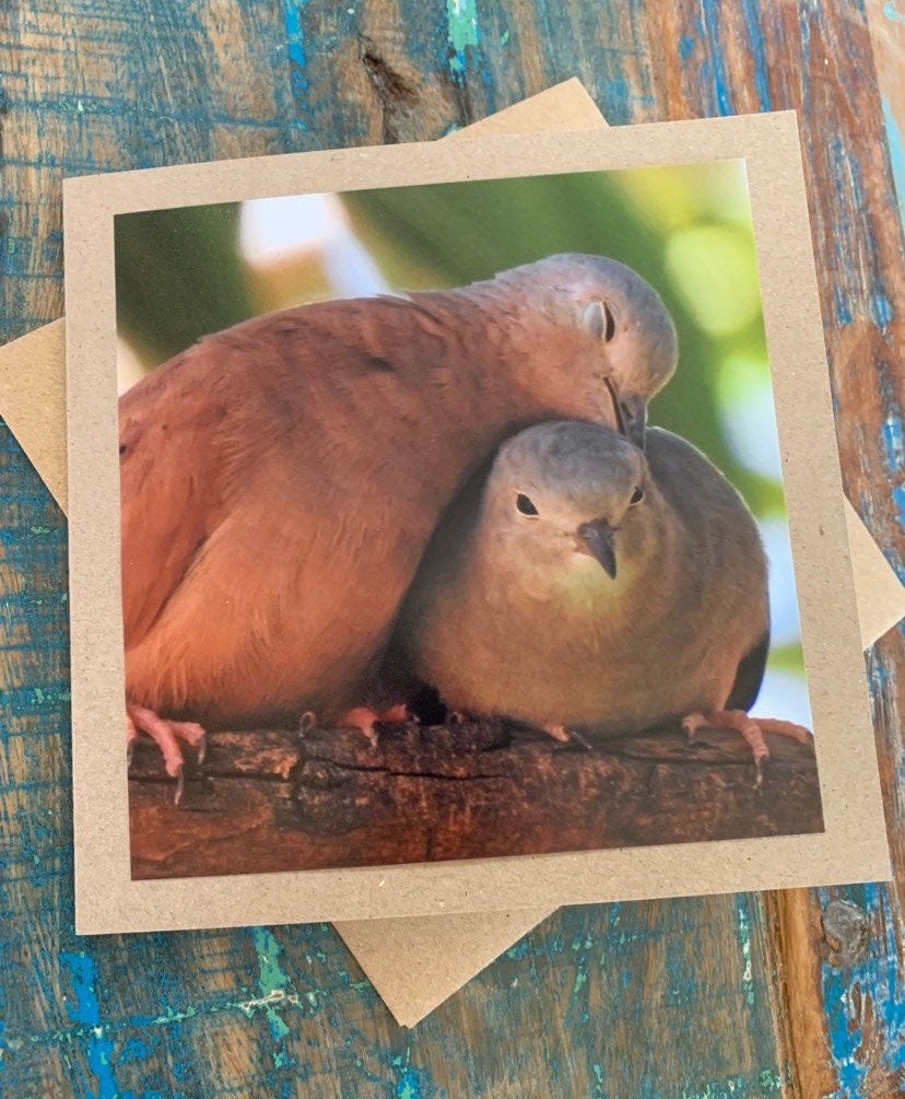 Recycled card, romantic card, love card, bird card, wedding card, handmade card, sympathy card, birthday card, eco friendly card, dove card