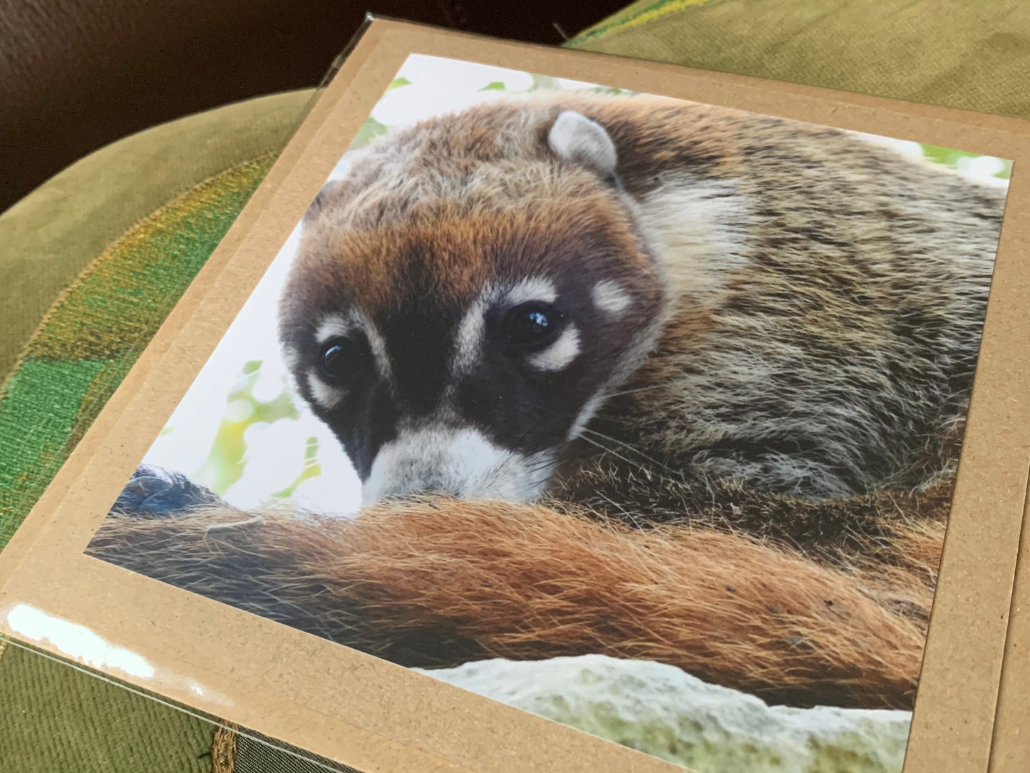 Coati card, handmade card for her, gift for him. Recycled card, eco friendly card. Wildlife photography card, birthday card, eco nature card