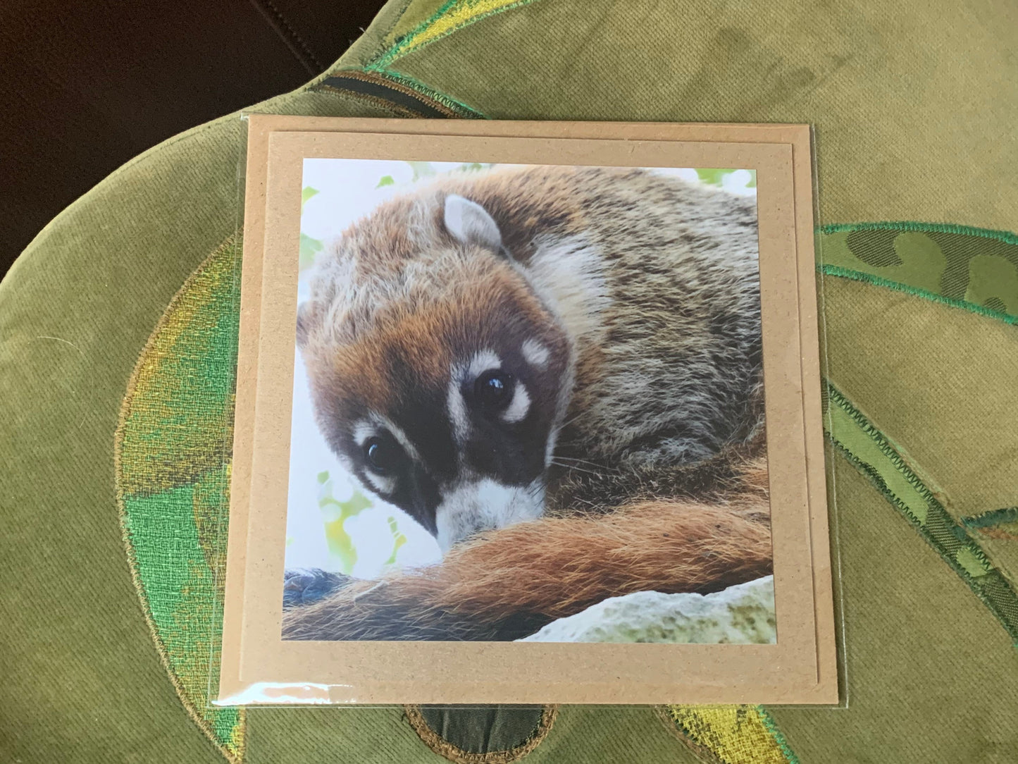 Coati card, handmade card for her, gift for him. Recycled card, eco friendly card. Wildlife photography card, birthday card, eco nature card