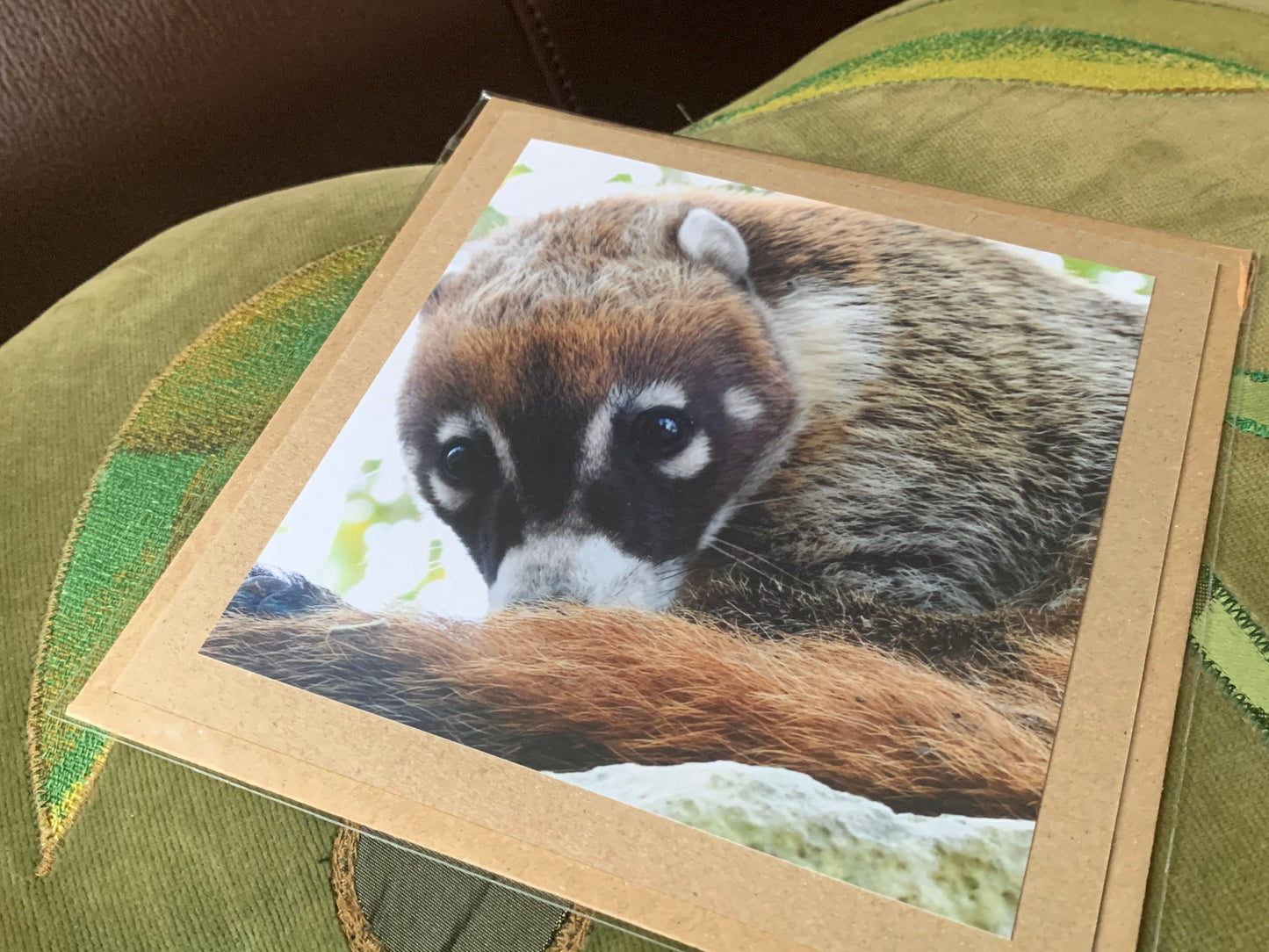Coati card, handmade card for her, gift for him. Recycled card, eco friendly card. Wildlife photography card, birthday card, eco nature card