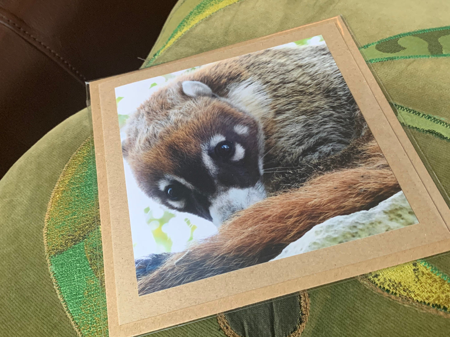 Coati card, handmade card for her, gift for him. Recycled card, eco friendly card. Wildlife photography card, birthday card, eco nature card