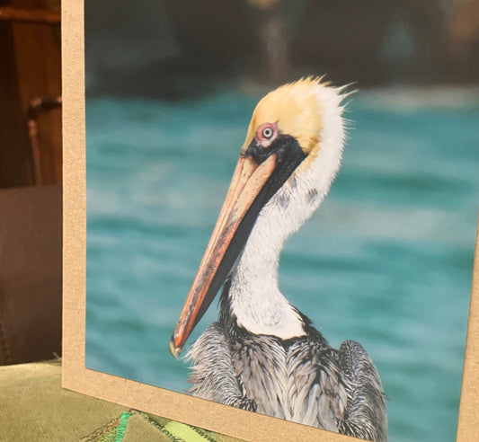 Pelican card, handmade card, gift for her, nature card. Recycled card, eco friendly card. Wildlife photo card, bird card, seaside card boho