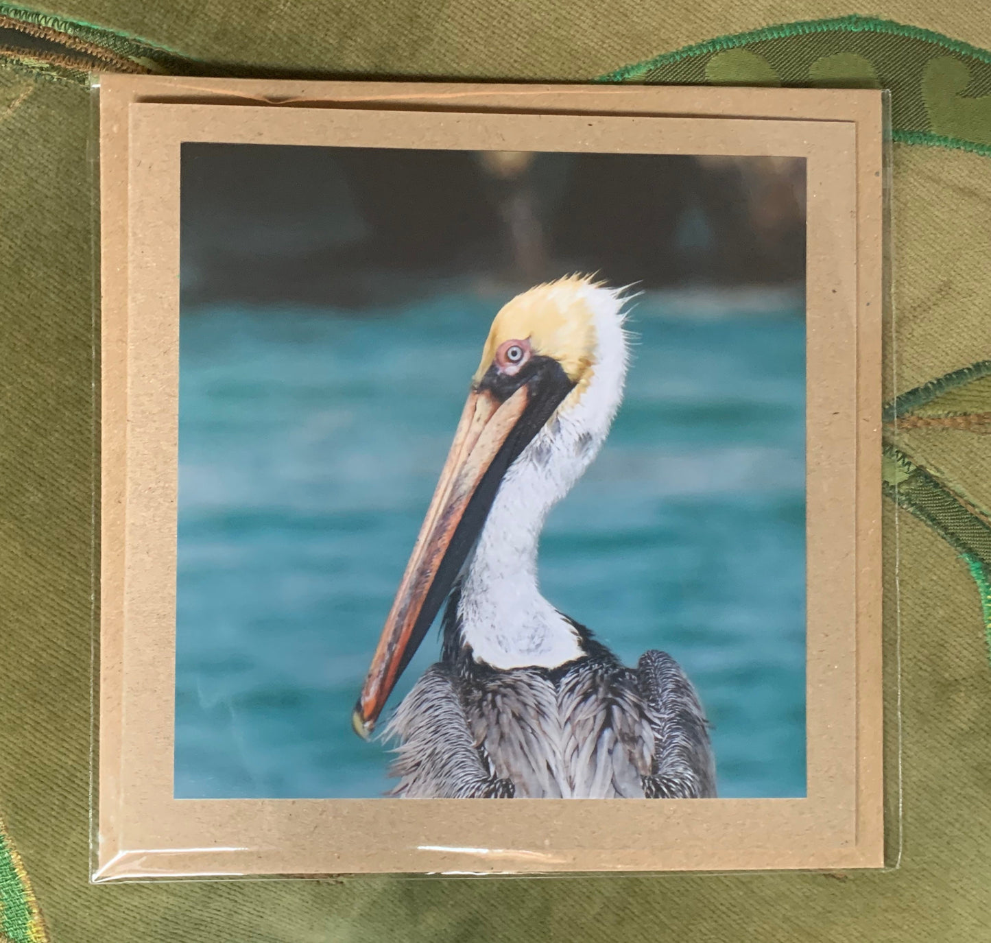 Pelican card, handmade card, gift for her, nature card. Recycled card, eco friendly card. Wildlife photo card, bird card, seaside card boho