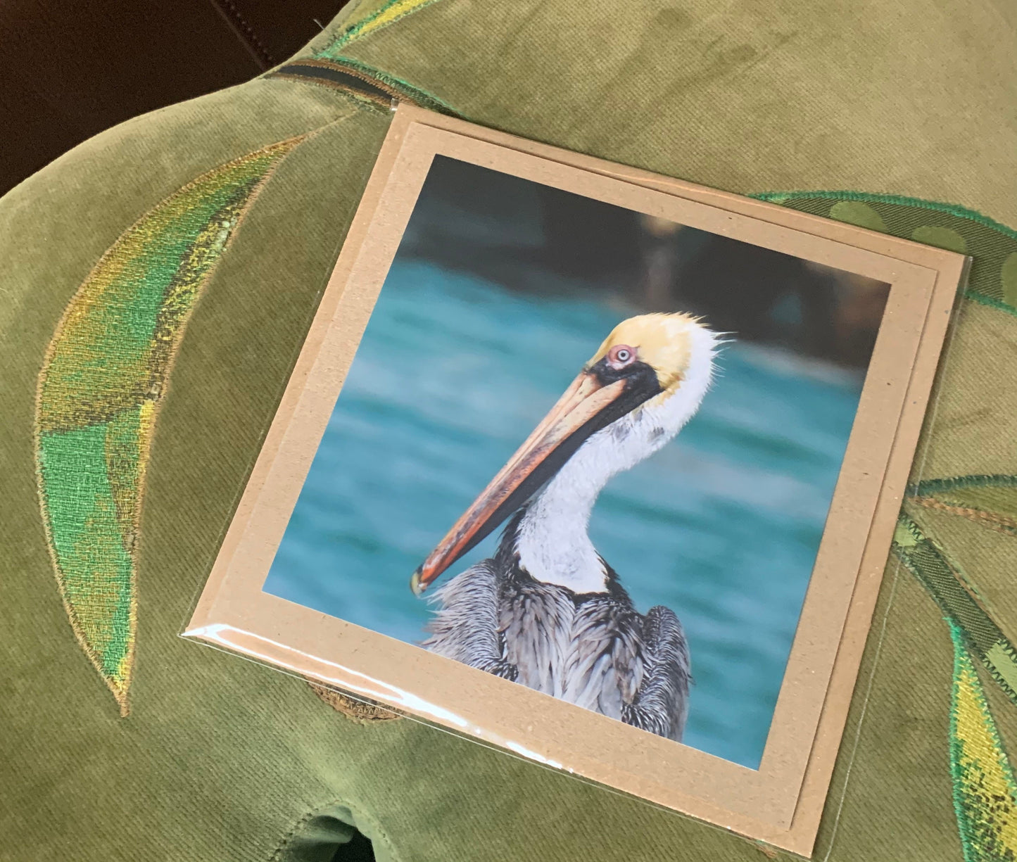 Pelican card, handmade card, gift for her, nature card. Recycled card, eco friendly card. Wildlife photo card, bird card, seaside card boho