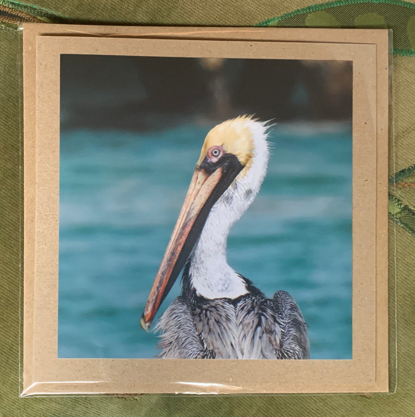 Pelican card, handmade card, gift for her, nature card. Recycled card, eco friendly card. Wildlife photo card, bird card, seaside card boho