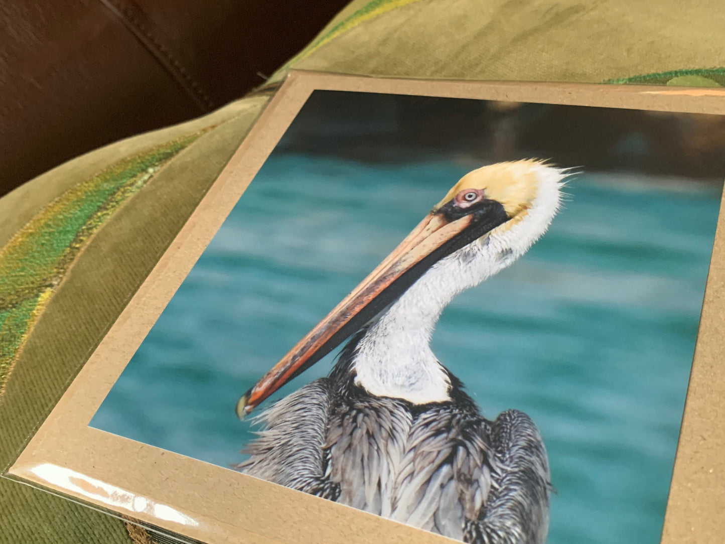 Pelican card, handmade card, gift for her, nature card. Recycled card, eco friendly card. Wildlife photo card, bird card, seaside card boho