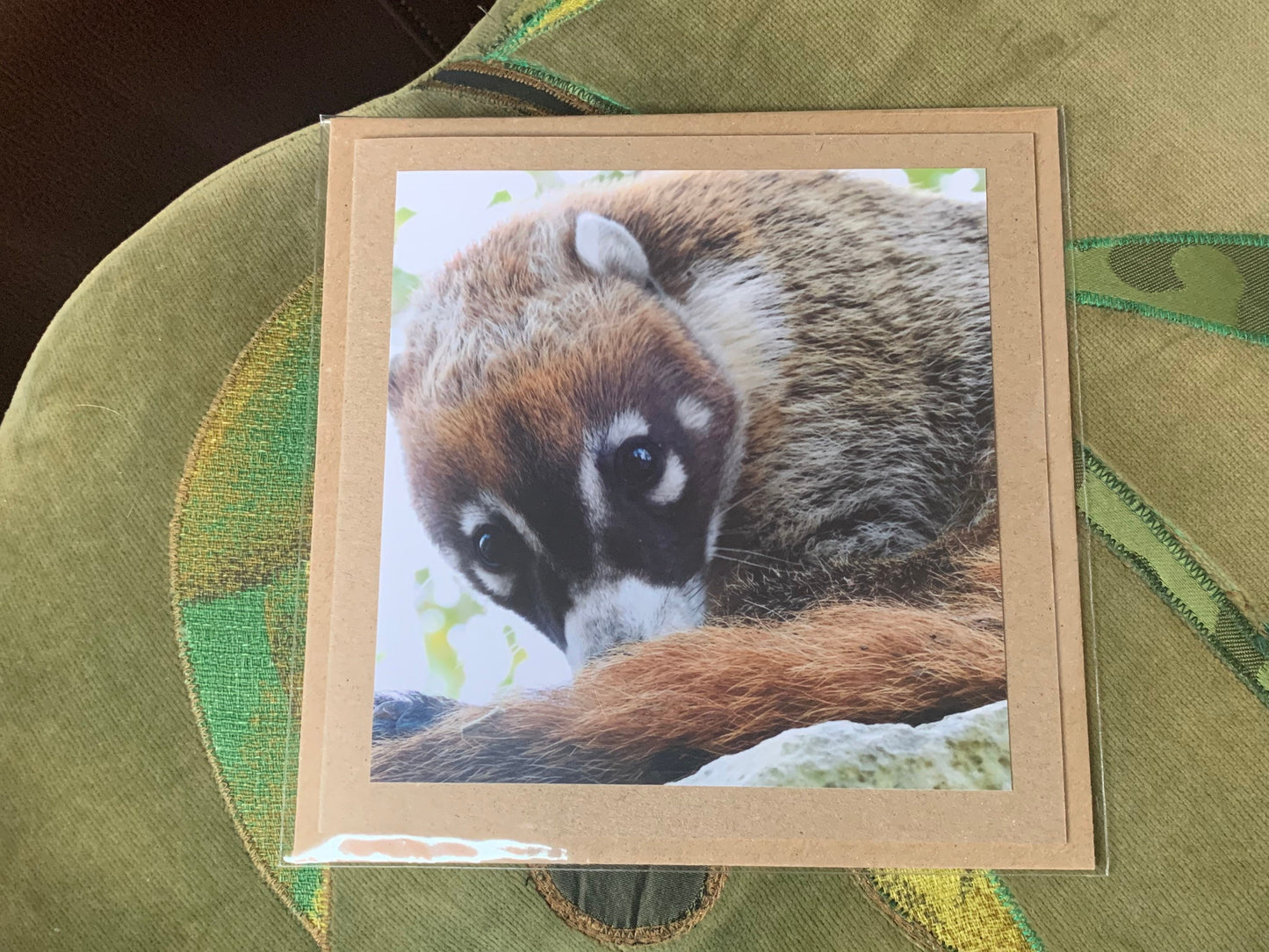 Coati card, handmade card for her, gift for him. Recycled card, eco friendly card. Wildlife photography card, birthday card, eco nature card