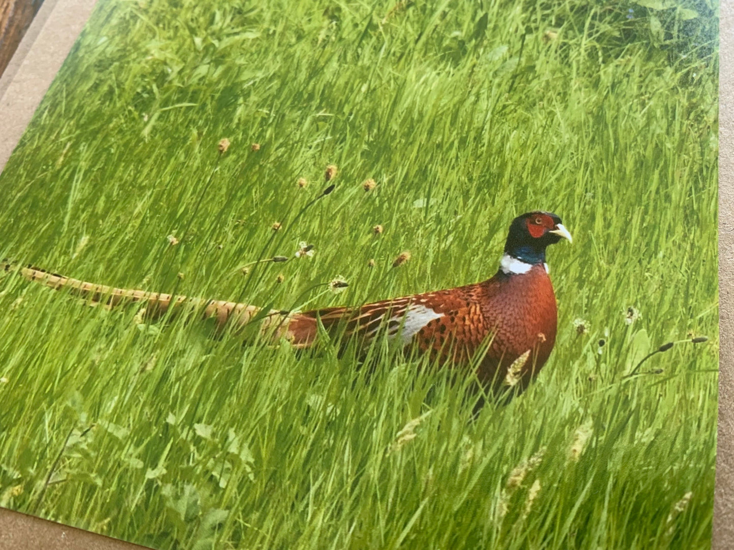 Pheasant card, recycled card, birthday card, English bird card. Eco friendly card. Handmade card. Unusual Thank you card, blank gift card