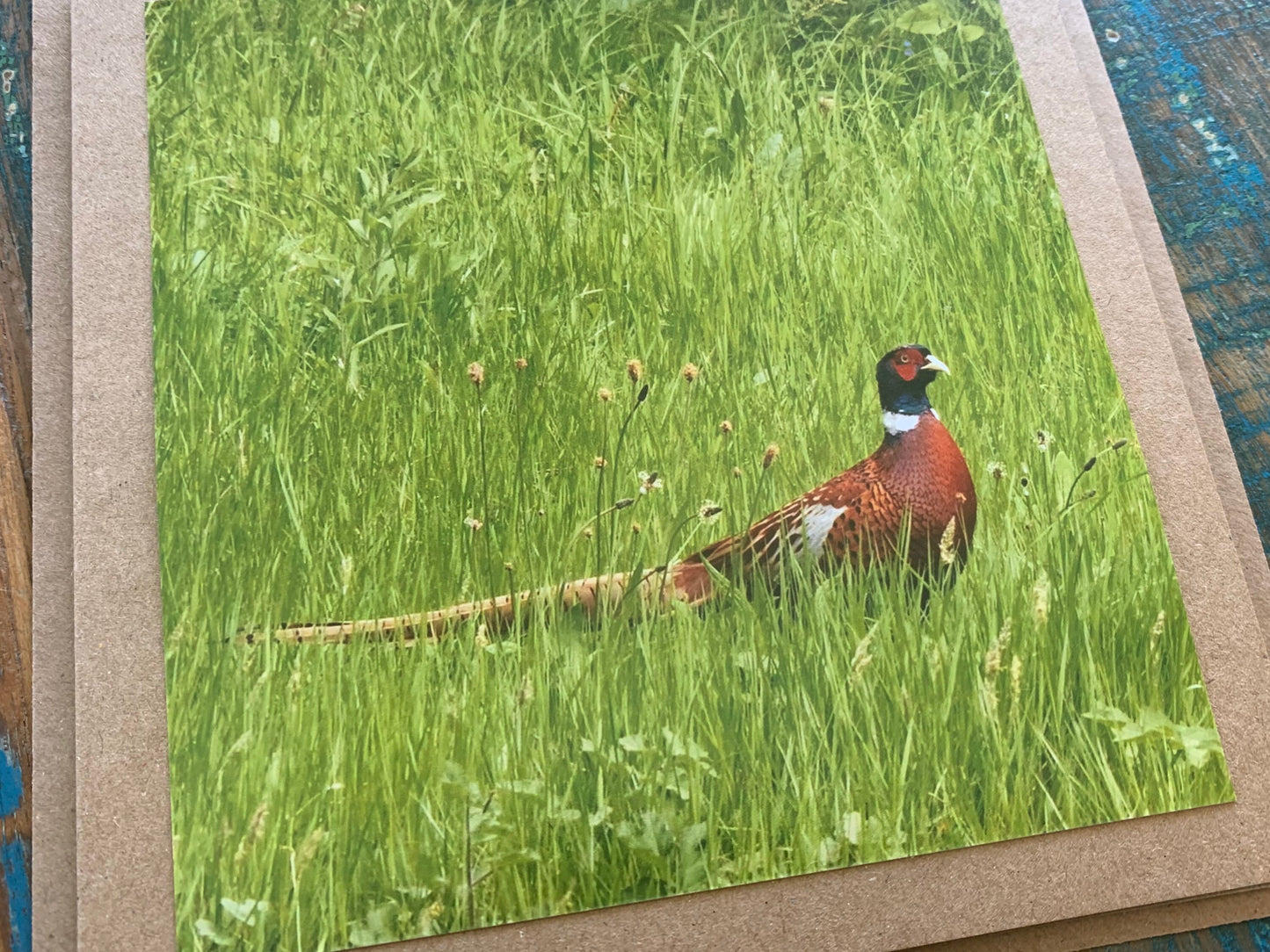 Pheasant card, recycled card, birthday card, English bird card. Eco friendly card. Handmade card. Unusual Thank you card, blank gift card