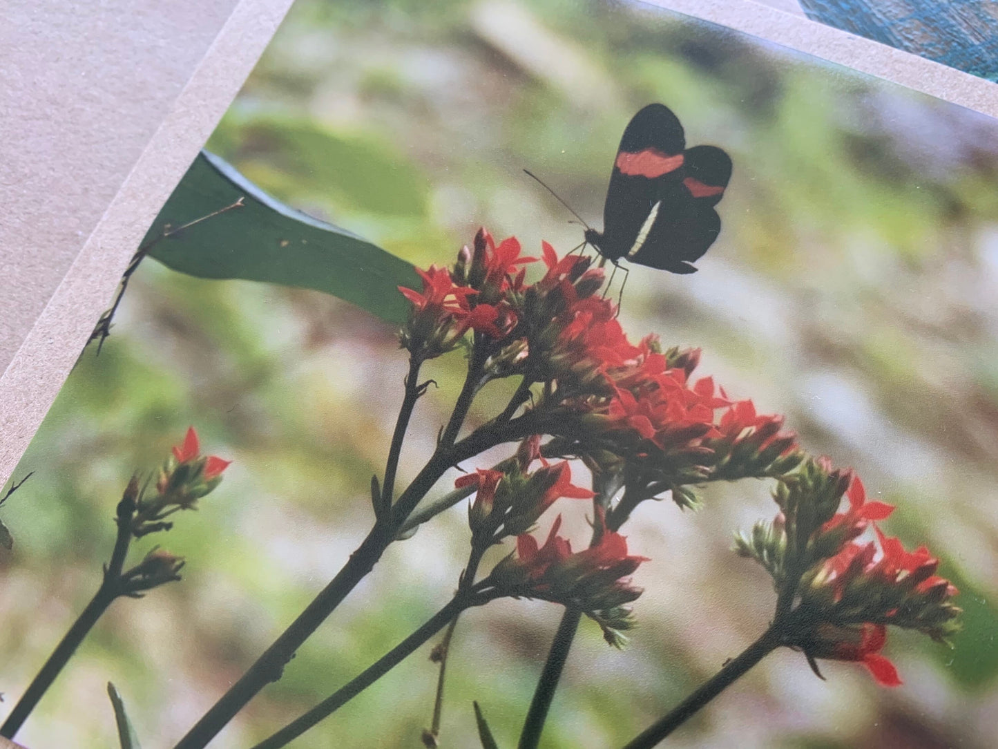 Flower card, recycled card, birthday card, nature card. Eco friendly card. Handmade card. Unusual card, Thank you card, butterfly card, boho