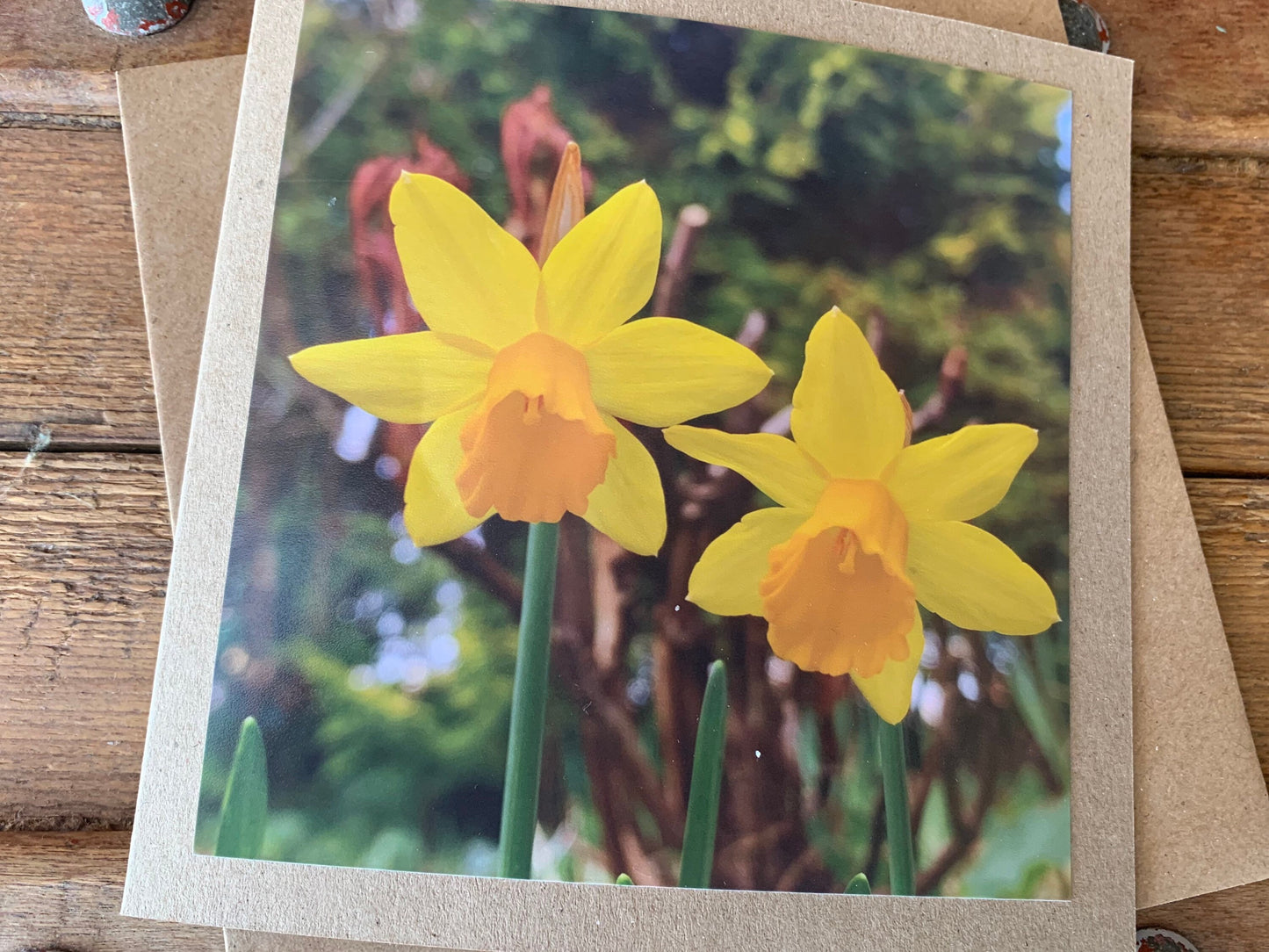 Daffodil card, flower card, recycled card, birthday card, nature card. Eco friendly card. Handmade card. Easter card, Easter present