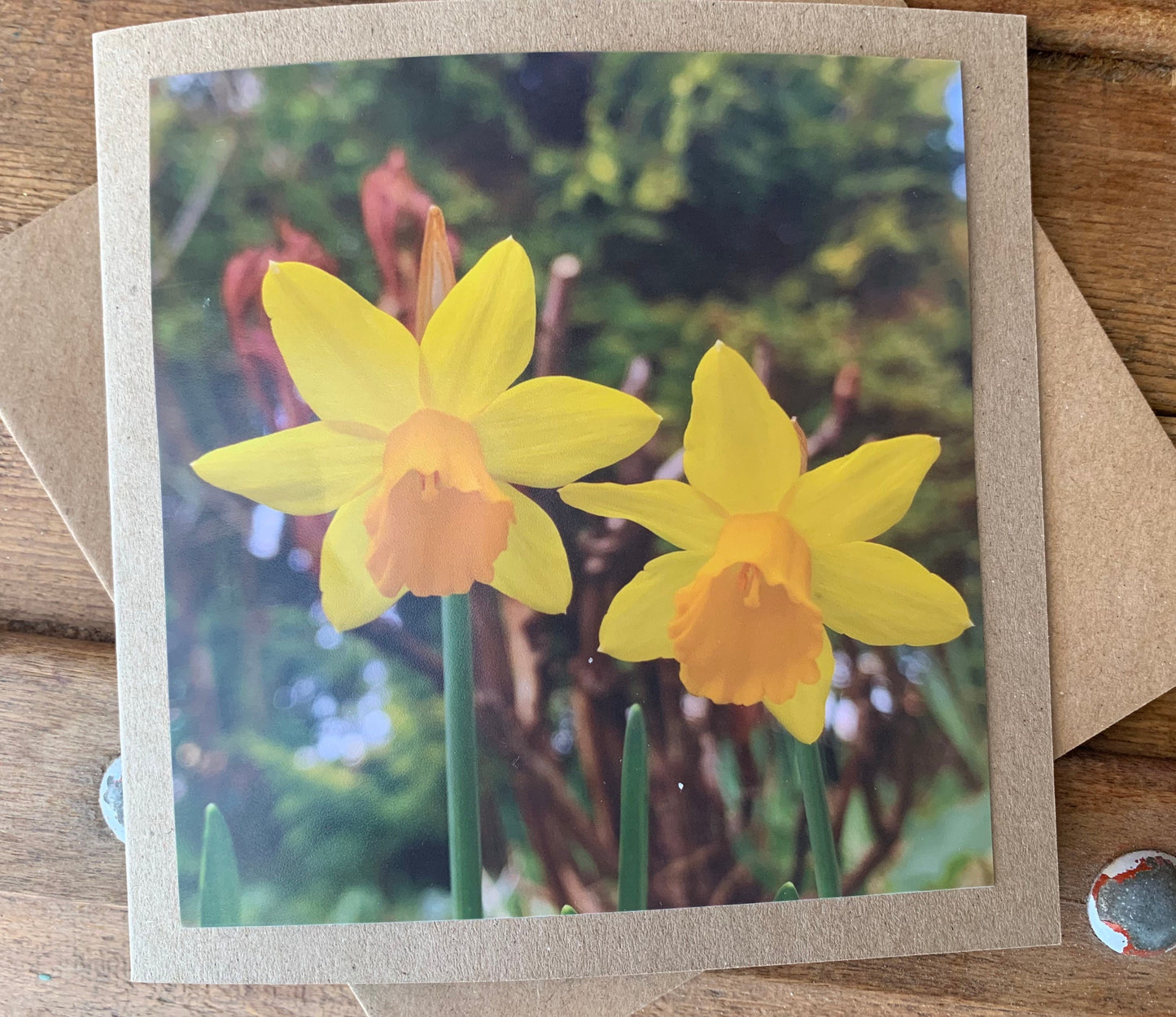 Daffodil card, flower card, recycled card, birthday card, nature card. Eco friendly card. Handmade card. Easter card, Easter present