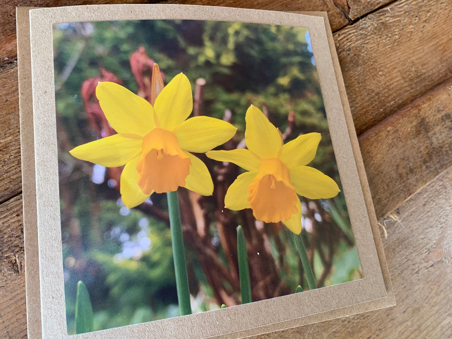 Daffodil card, flower card, recycled card, birthday card, nature card. Eco friendly card. Handmade card. Easter card, Easter present