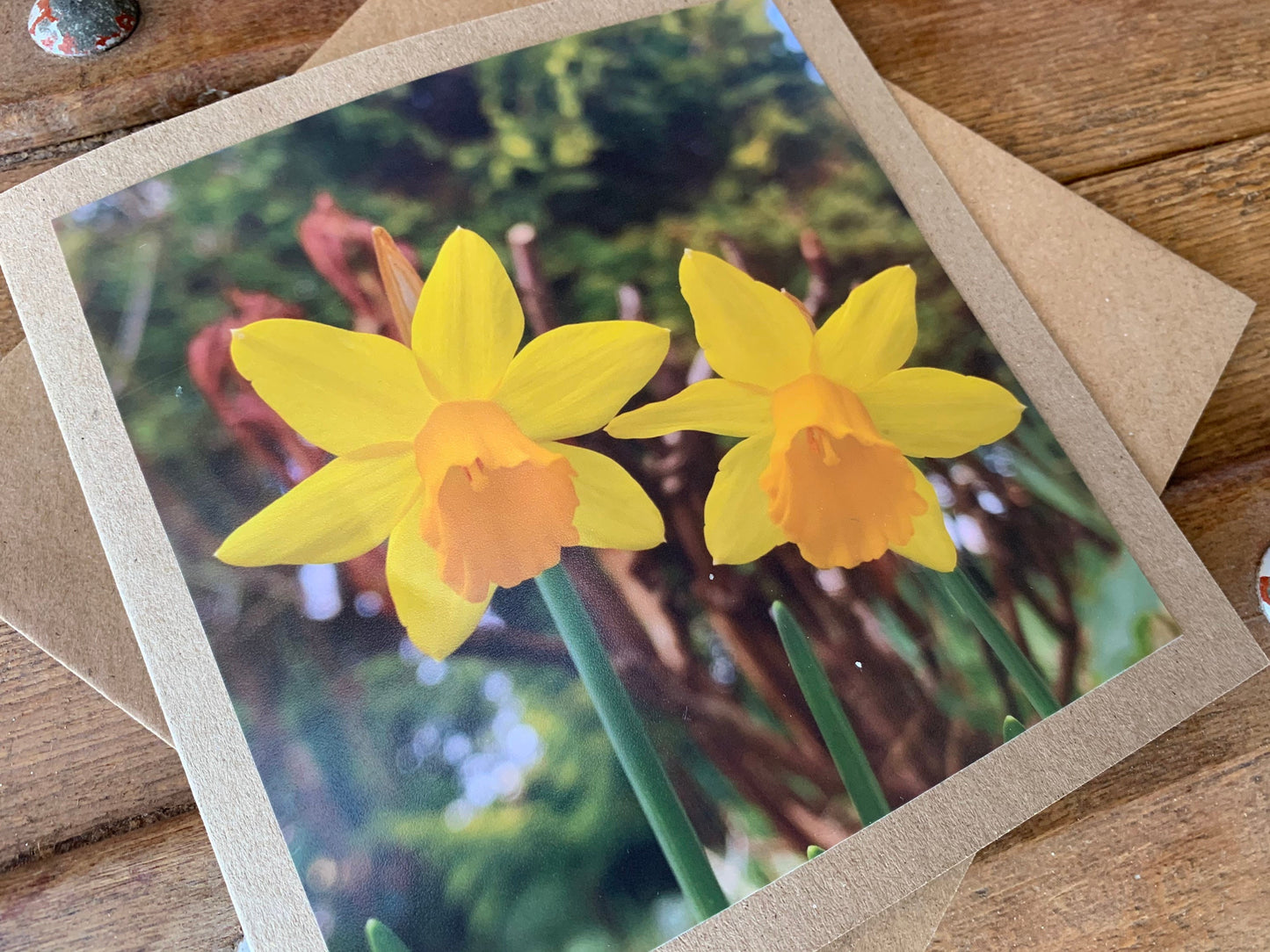 Daffodil card, flower card, recycled card, birthday card, nature card. Eco friendly card. Handmade card. Easter card, Easter present