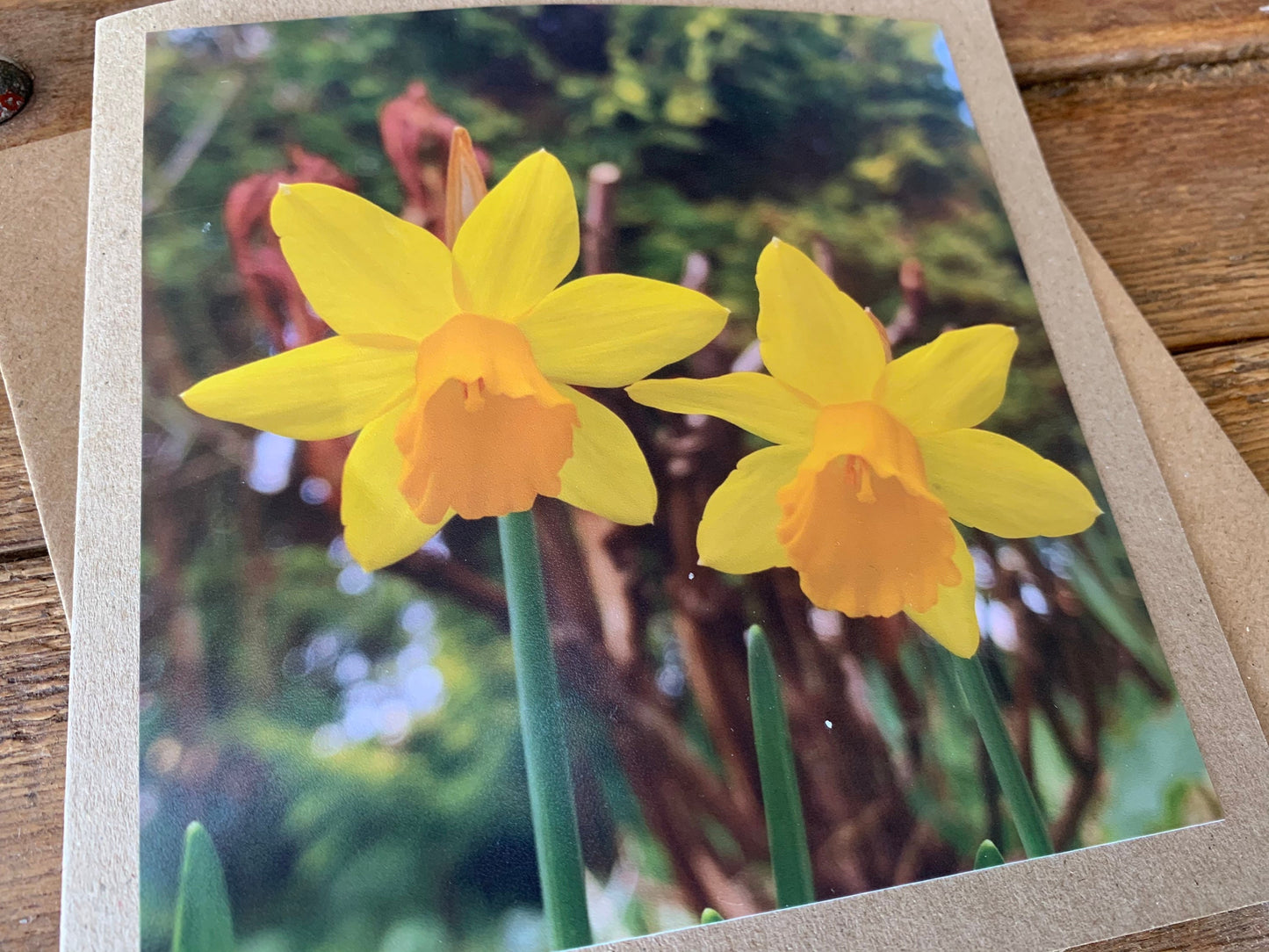 Daffodil card, flower card, recycled card, birthday card, nature card. Eco friendly card. Handmade card. Easter card, Easter present