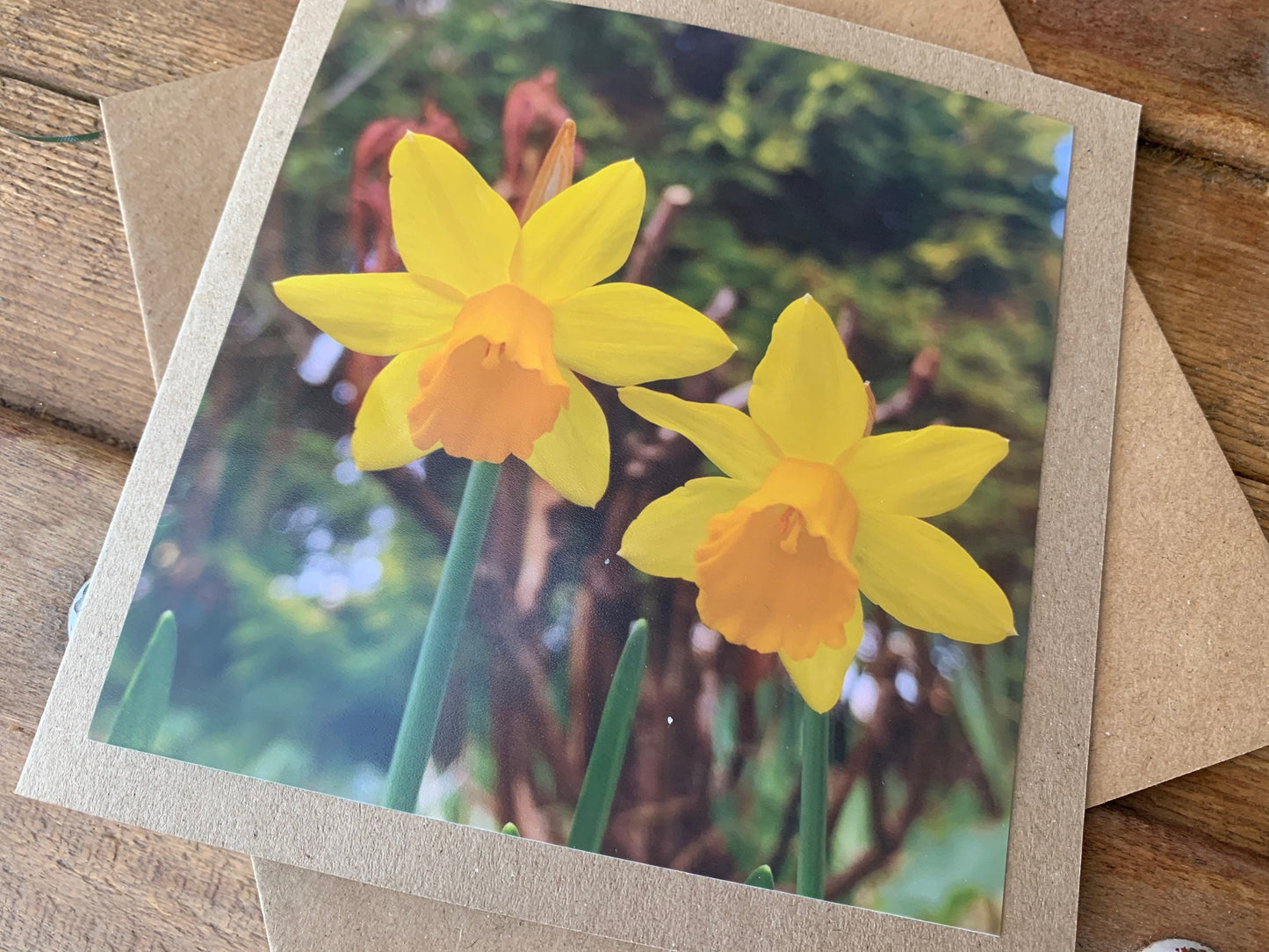 Daffodil card, flower card, recycled card, birthday card, nature card. Eco friendly card. Handmade card. Easter card, Easter present