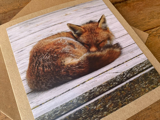 Fox card, recycled card, nature card, birthday card, recycled card. Eco friendly gift card. Handmade card. Blank message card. Eco gift.