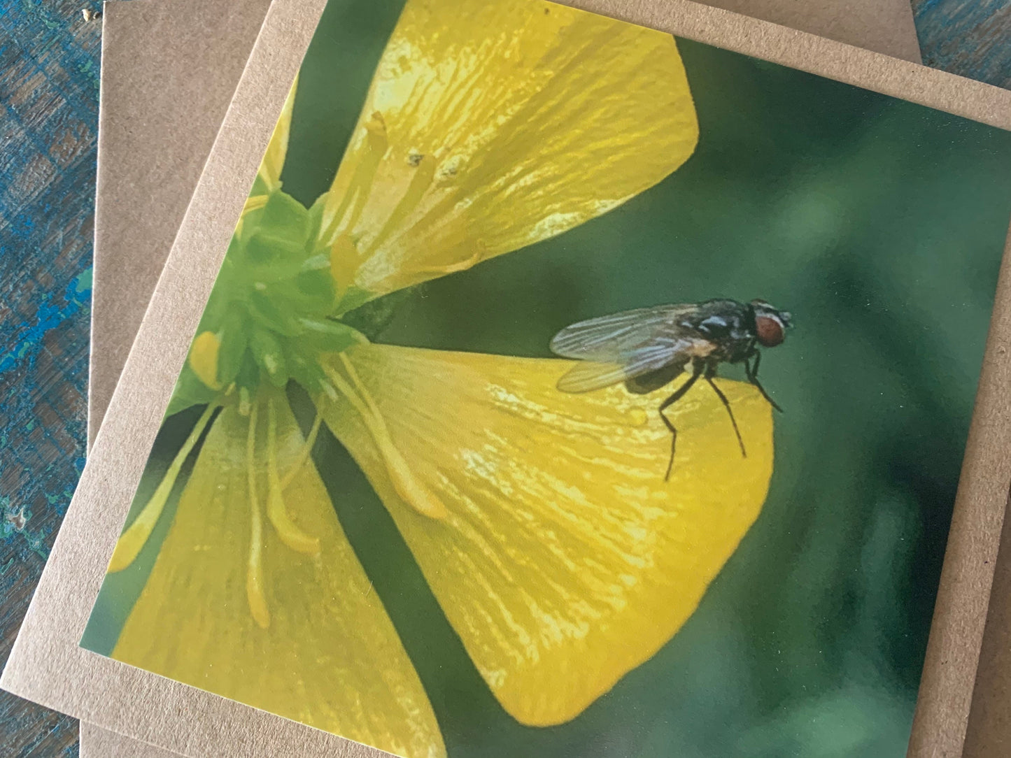 Flower card, recycled card, birthday card, insect card, fly card. Eco friendly card. Handmade card. Unusual card, blank card, floral card