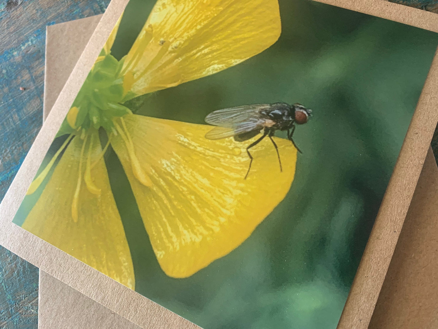 Flower card, recycled card, birthday card, insect card, fly card. Eco friendly card. Handmade card. Unusual card, blank card, floral card