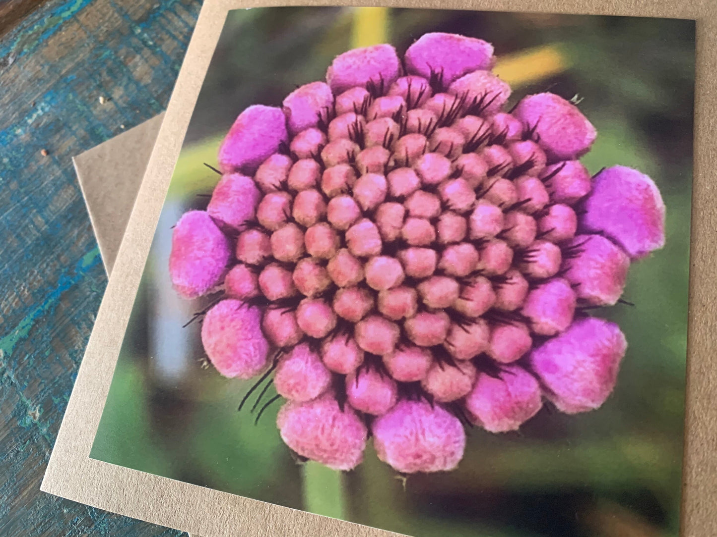 Flower card, recycled card, birthday card, pink birthday gift, Eco friendly card. Handmade card. Unusual card, blank gift card, floral card