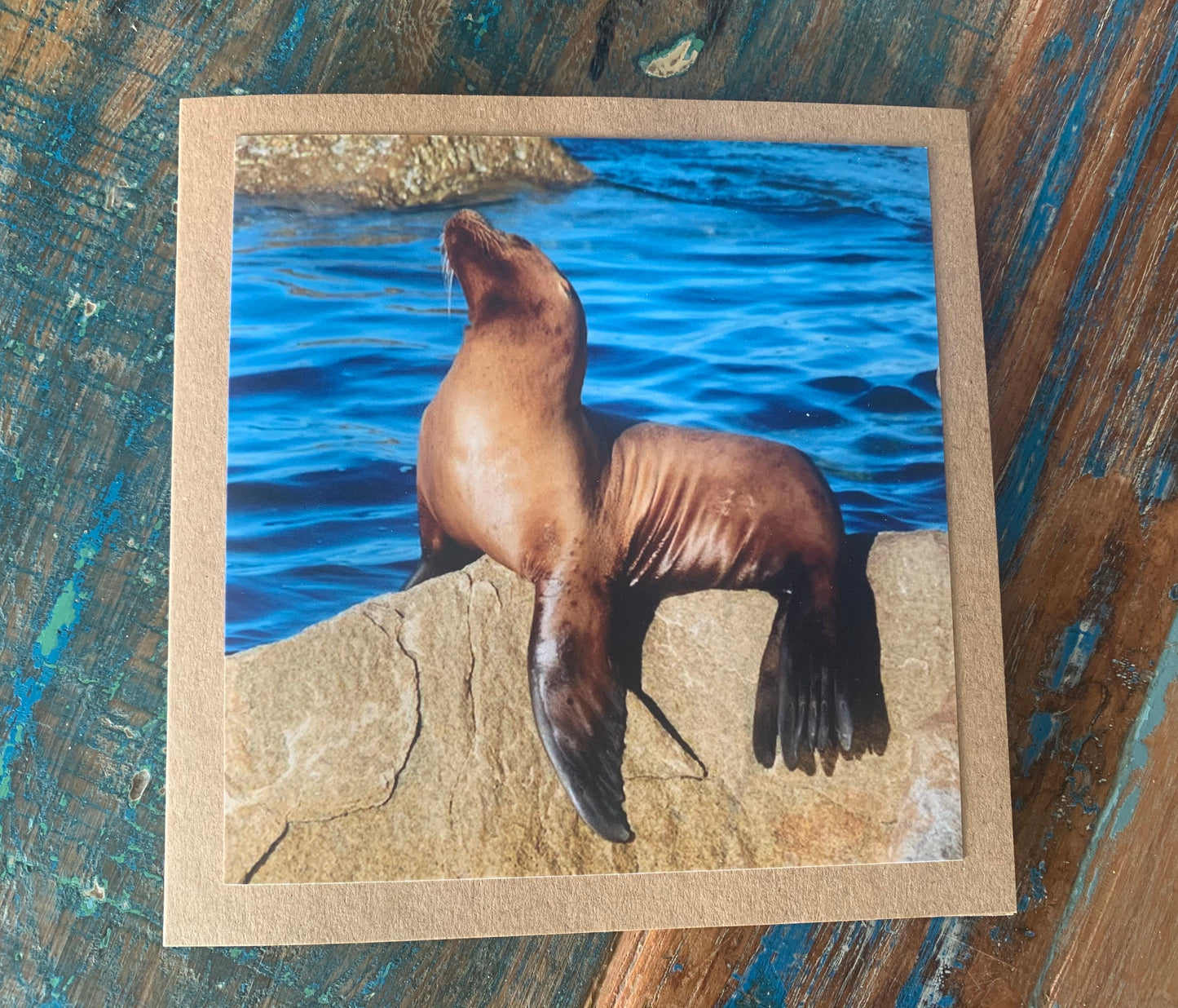 Sea lion card, recycled card, handmade card, beach card, wildlife card, nature card, eco friendly card, ethical card, recycled gift for him