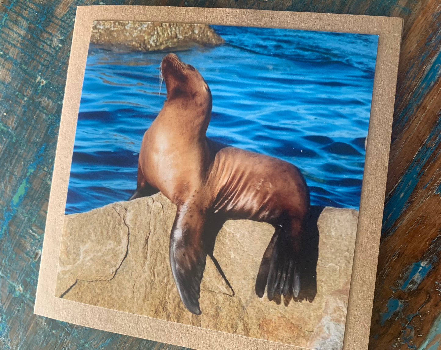 Sea lion card, recycled card, handmade card, beach card, wildlife card, nature card, eco friendly card, ethical card, recycled gift for him