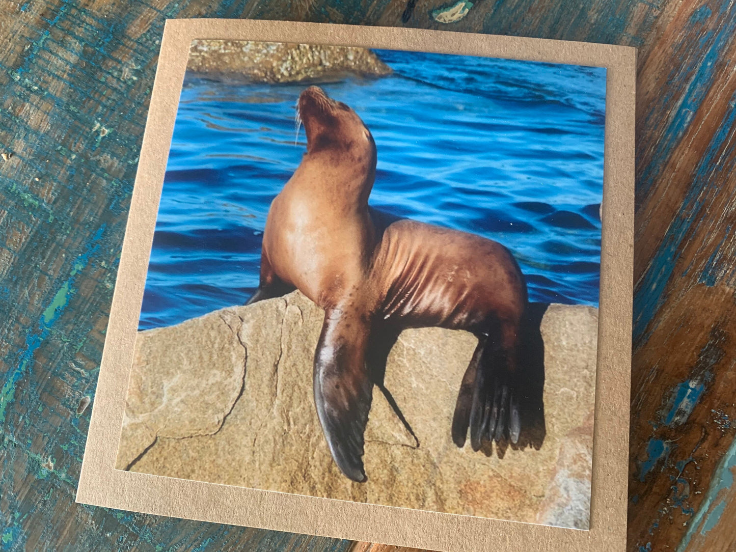 Sea lion card, recycled card, handmade card, beach card, wildlife card, nature card, eco friendly card, ethical card, recycled gift for him