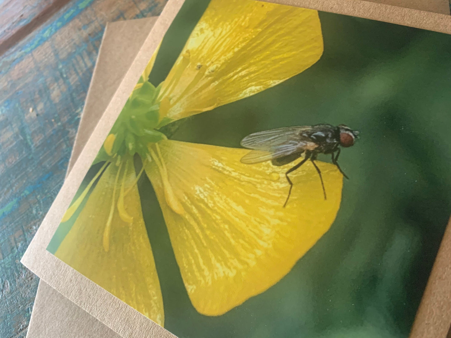 Flower card, recycled card, birthday card, insect card, fly card. Eco friendly card. Handmade card. Unusual card, blank card, floral card