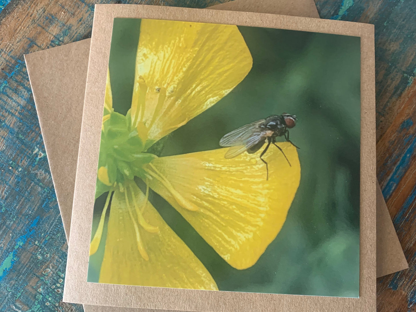 Flower card, recycled card, birthday card, insect card, fly card. Eco friendly card. Handmade card. Unusual card, blank card, floral card